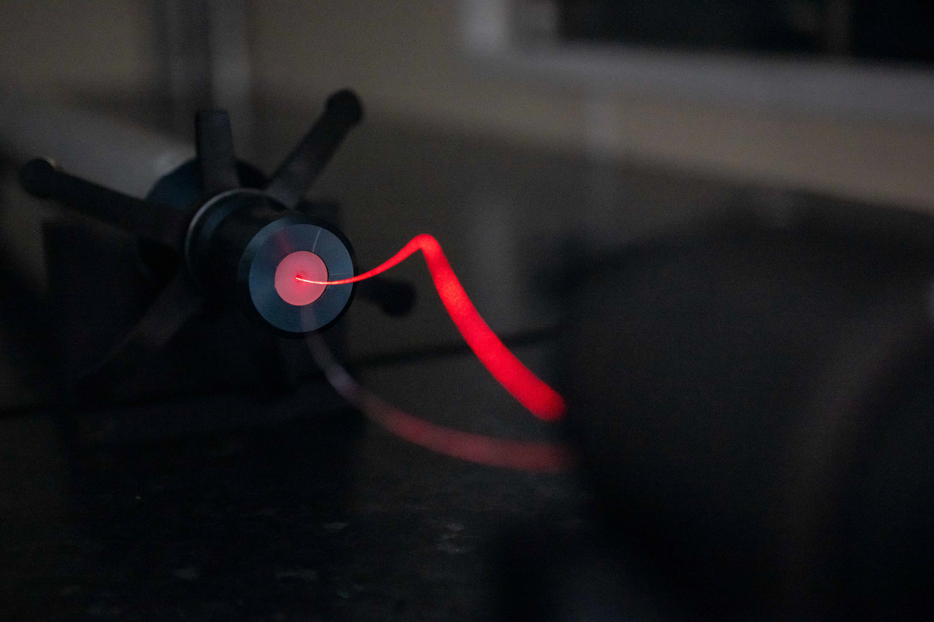 Picture by Michal Wachucik/Abermedia