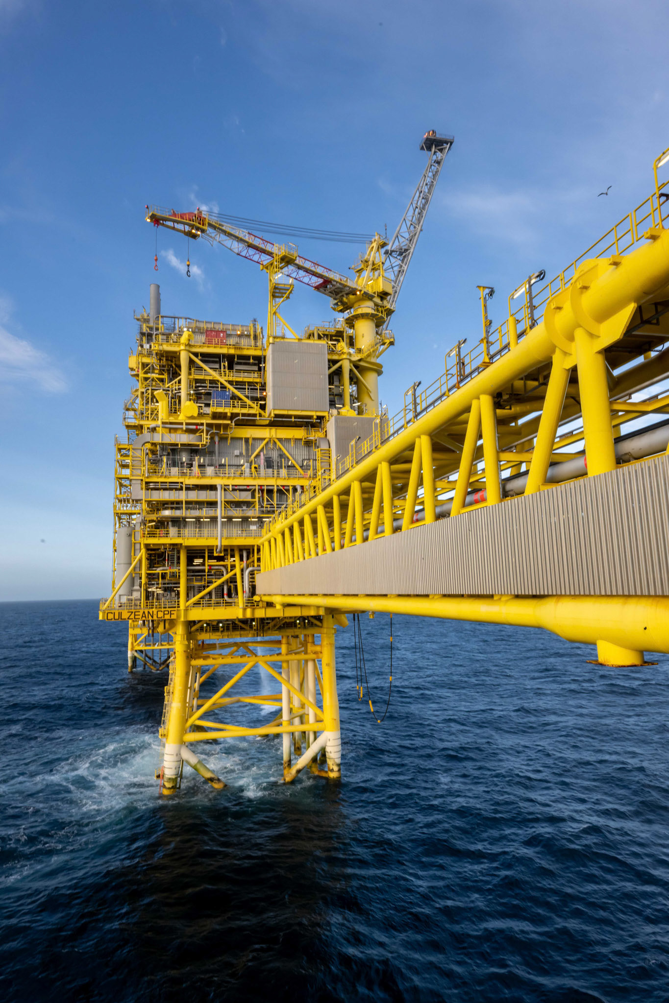 Picture by Michal Wachucik/Abermedia