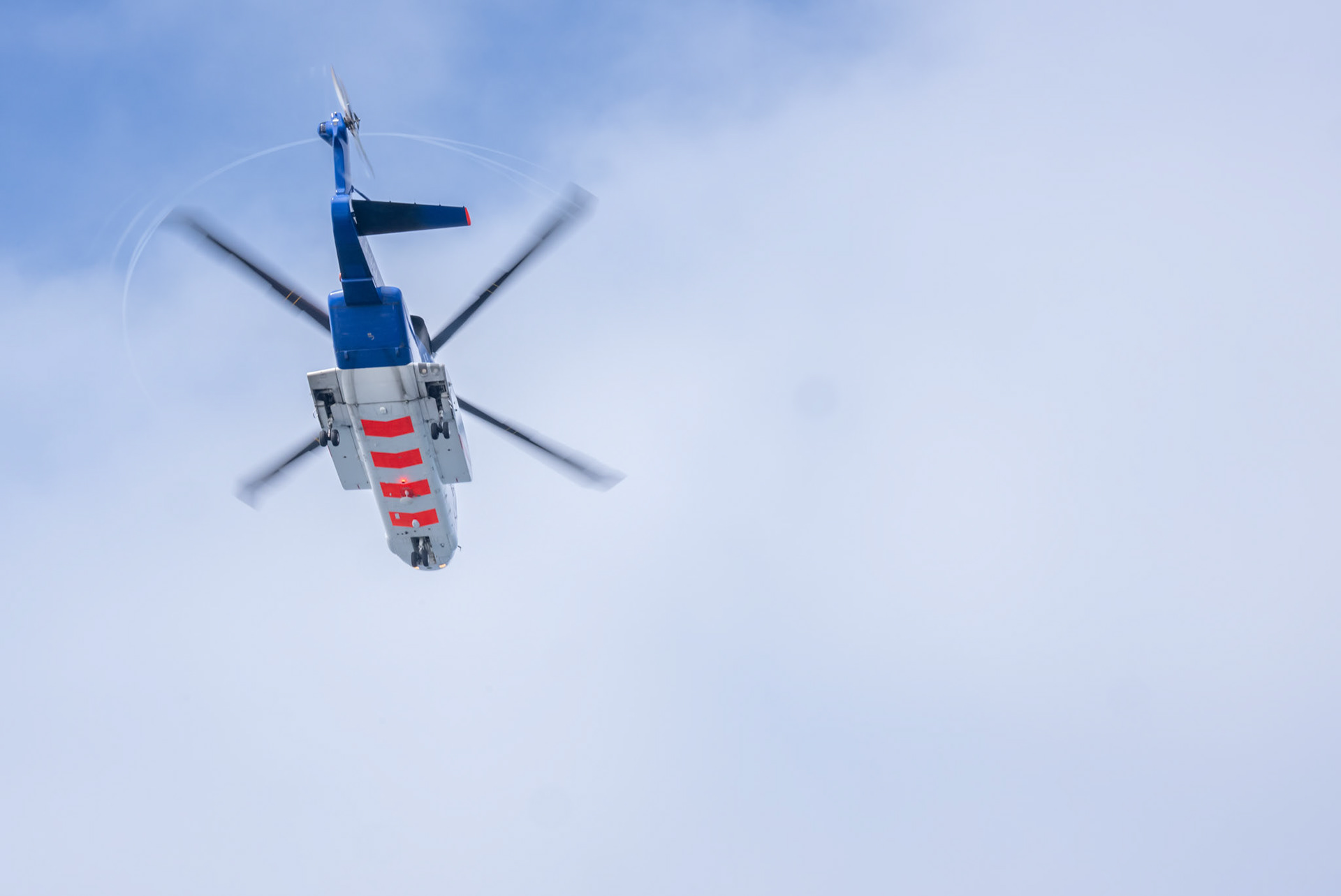 Picture by Michal Wachucik/Abermedia