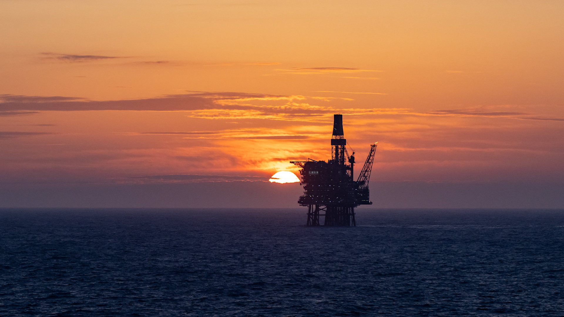 Picture by Michal Wachucik/Abermedia