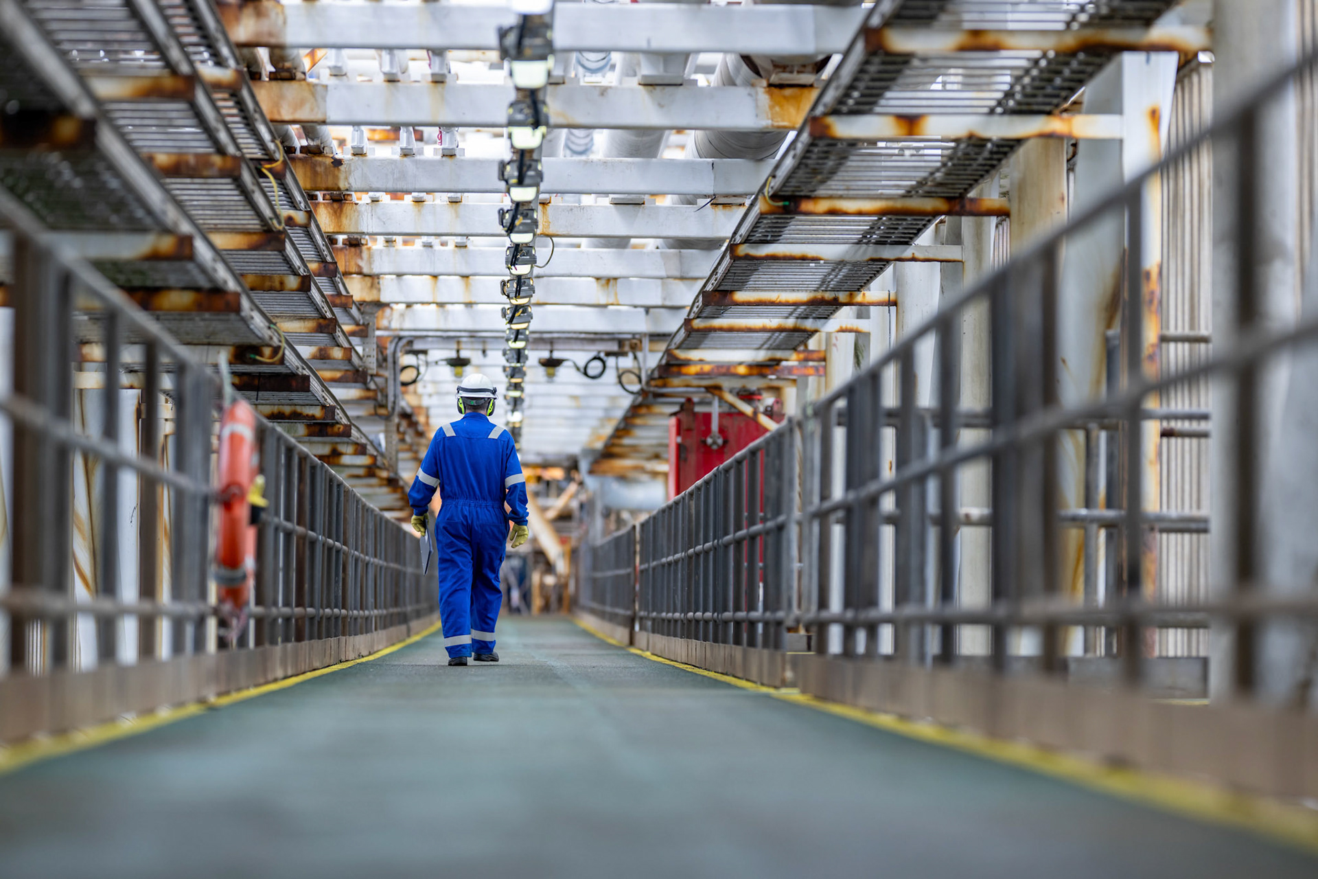 Picture by Michal Wachucik/Abermedia