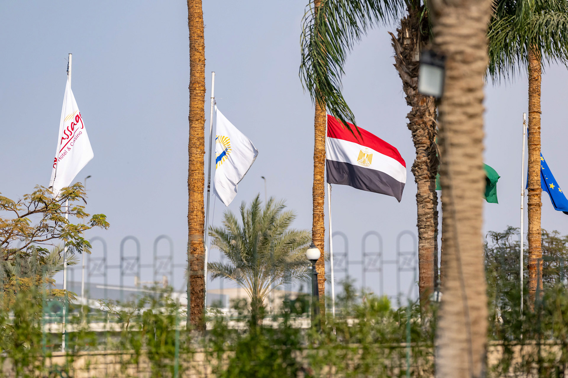 Picture by Michal Wachucik/Abermedia