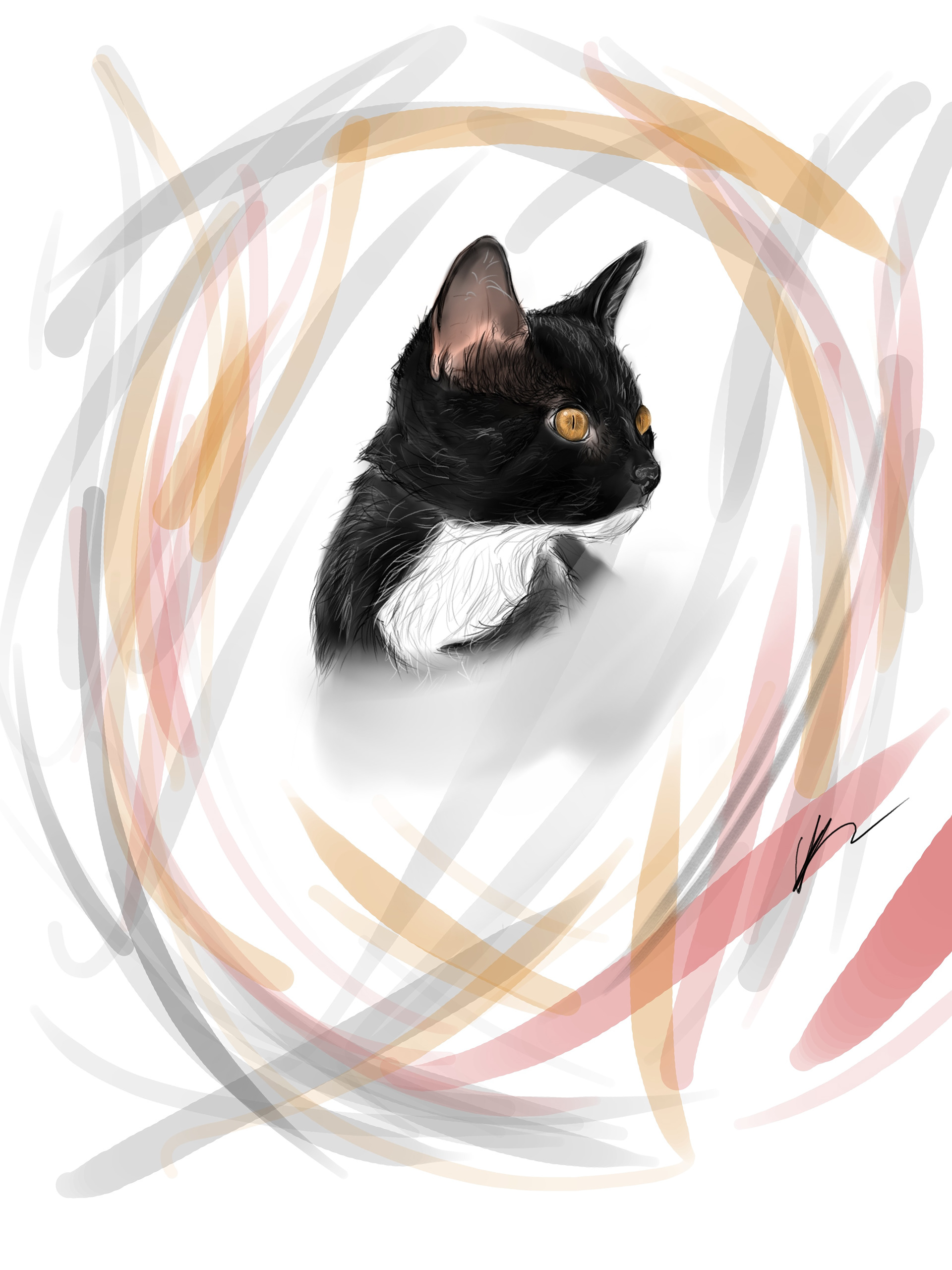 Victor Garita "Great Cat"