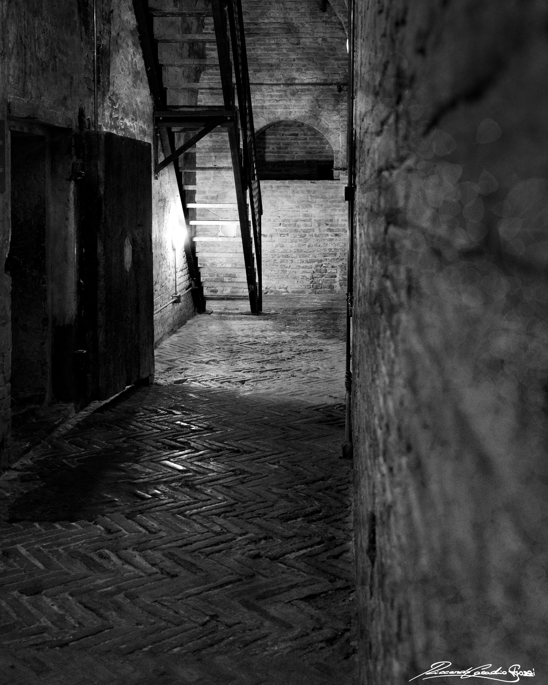 N° 6 - Ferrara, Italy