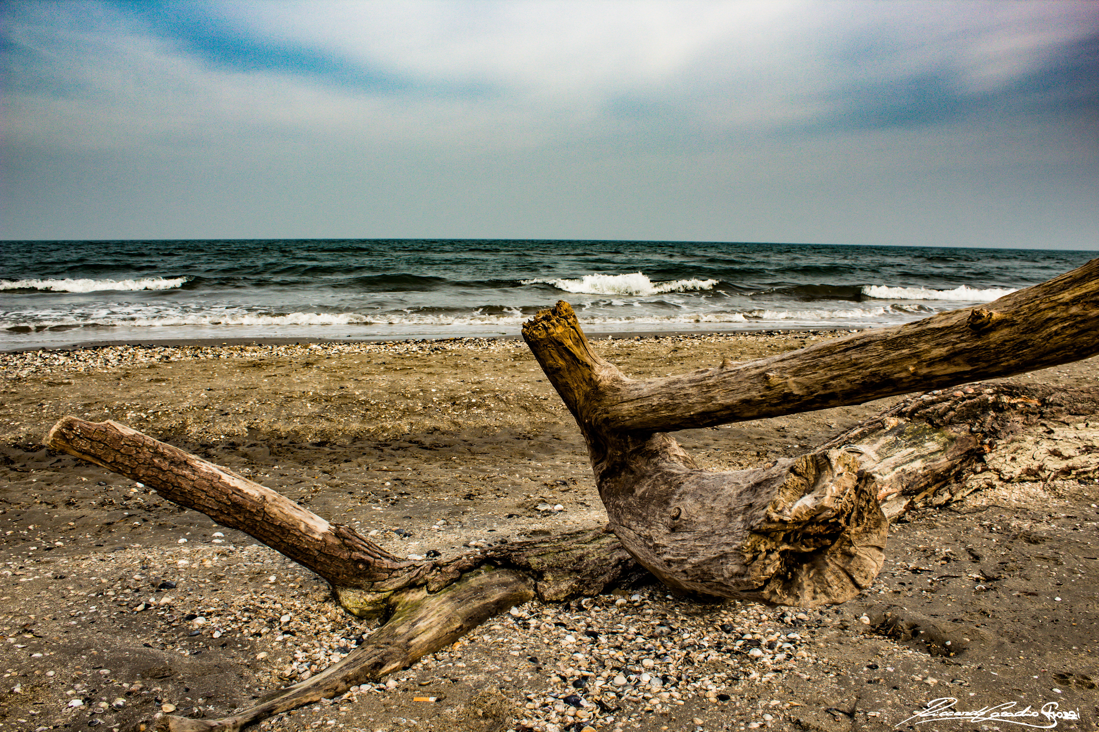 N° 10 - Cervia, Italy