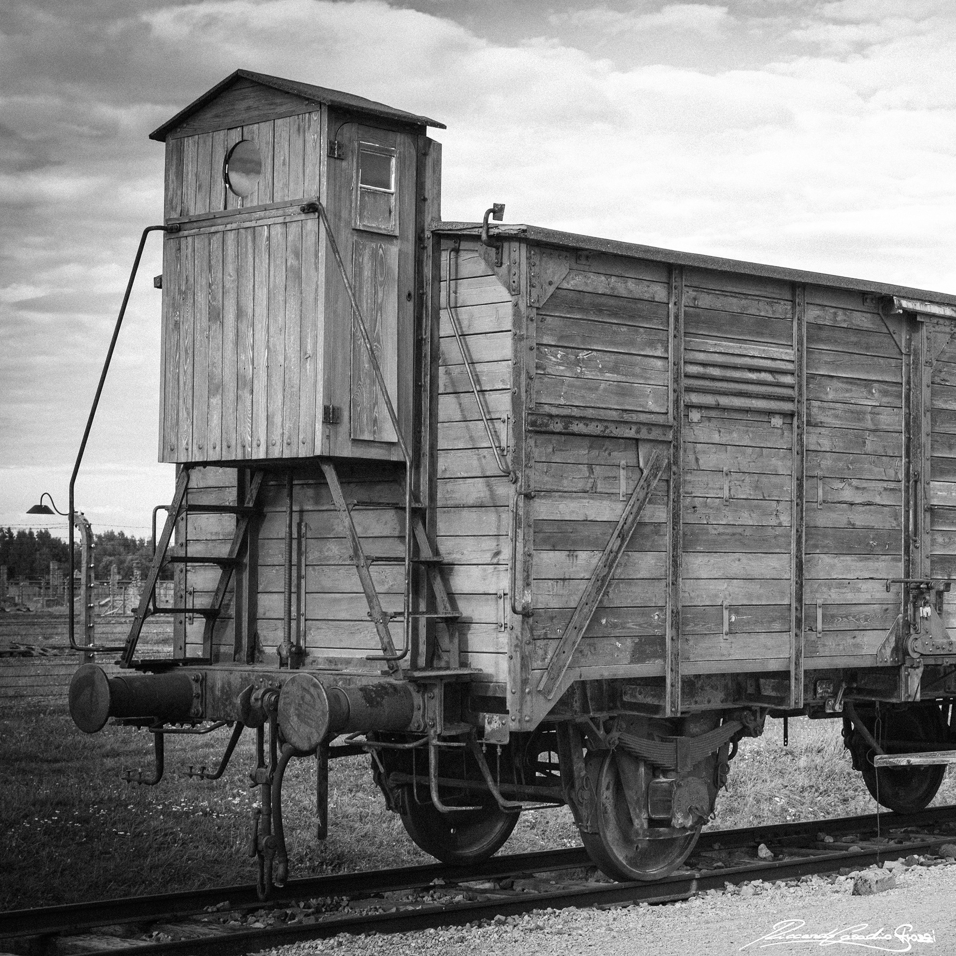 N° 3 - Holocaust Memorial Day
