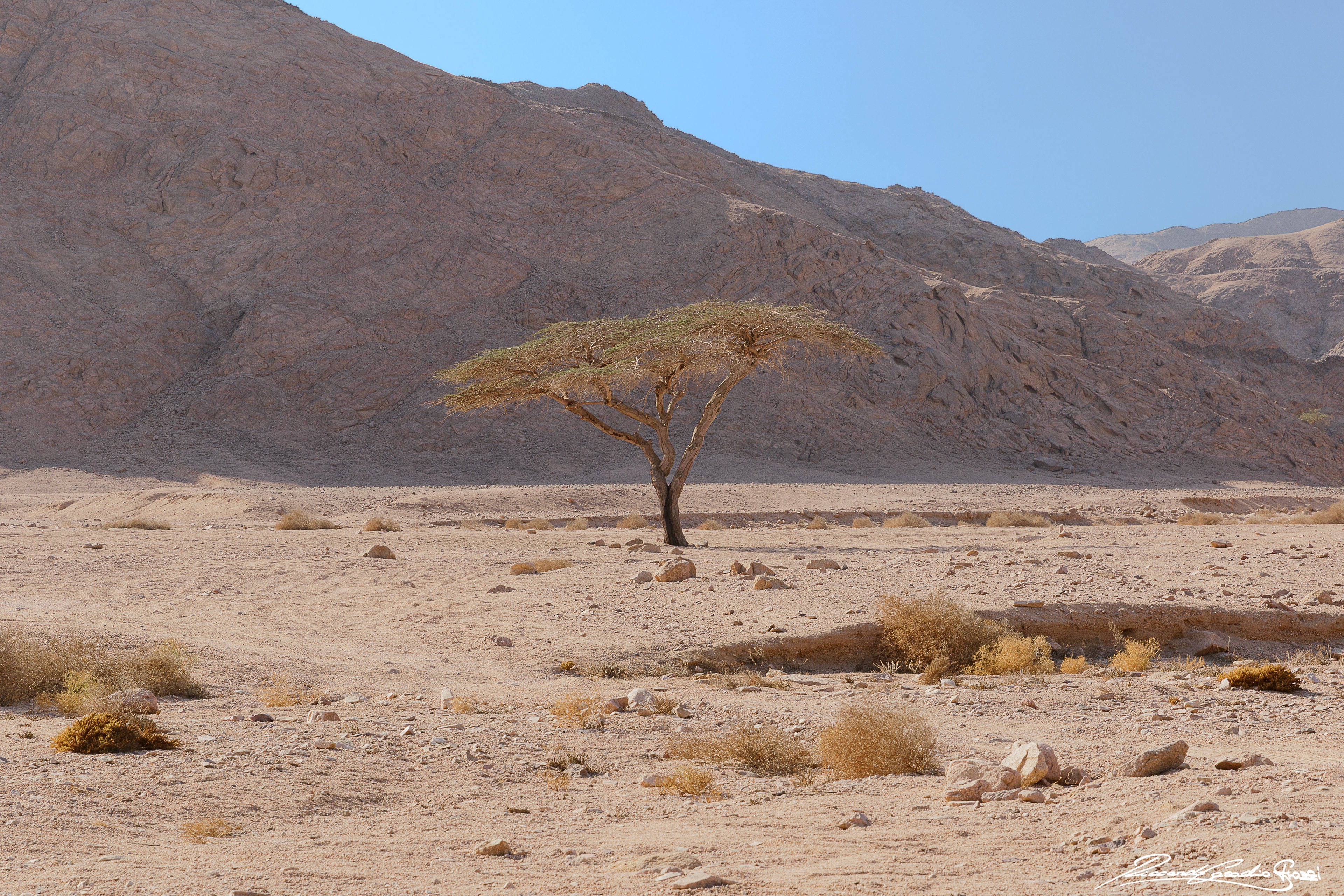 N° 4 - Marsa Alam, Egypt