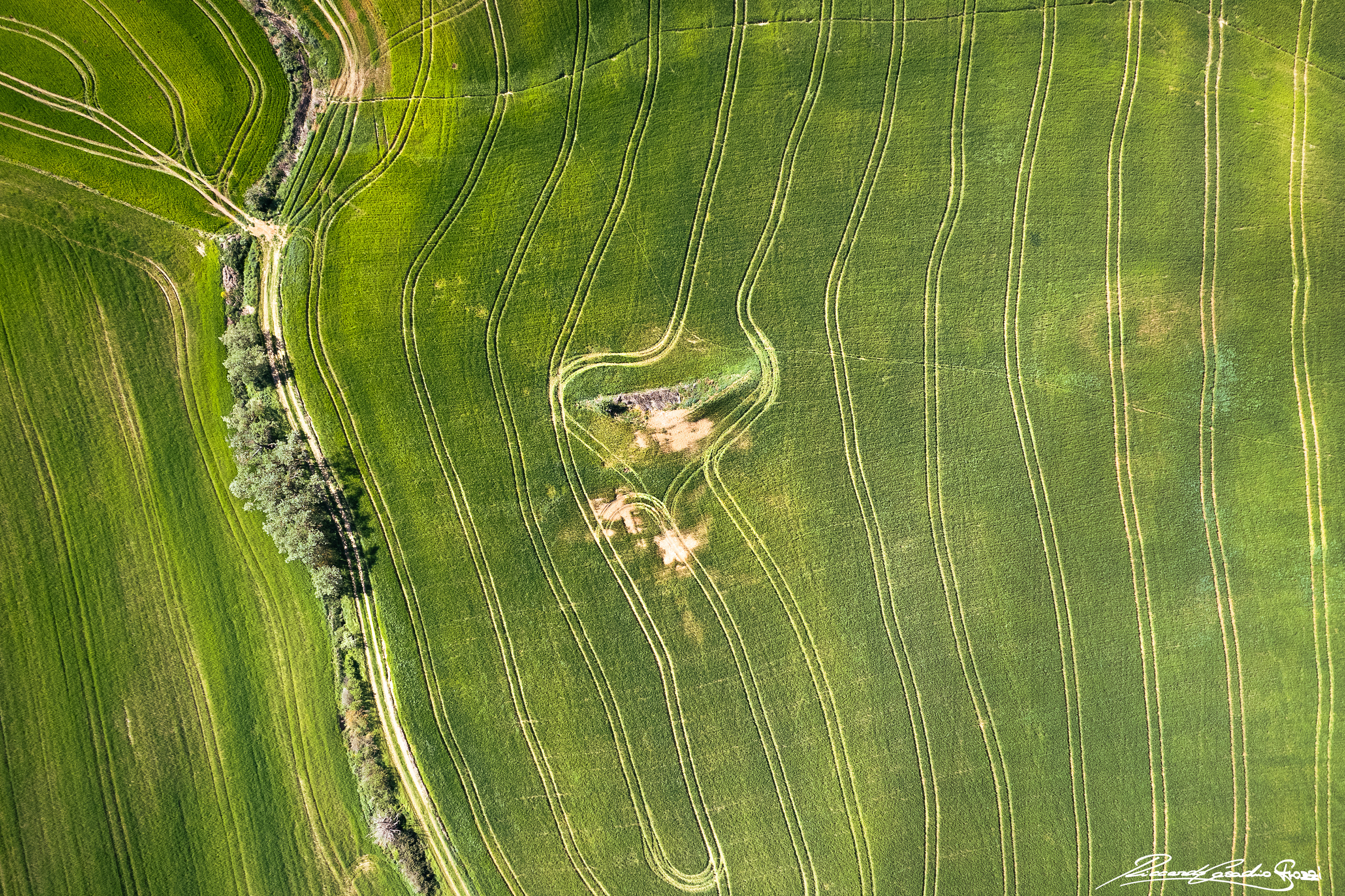 N° 8 - Val d'Orcia, Italy