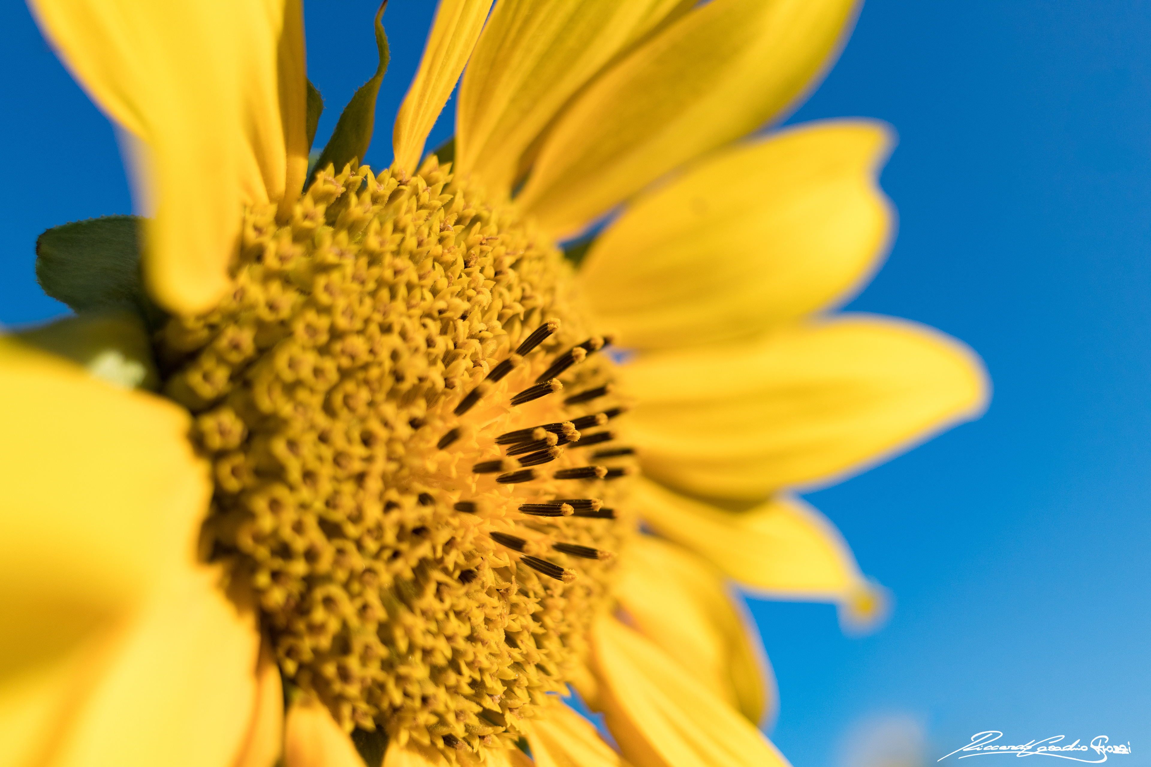 N° 3 - Brisighella, Italy