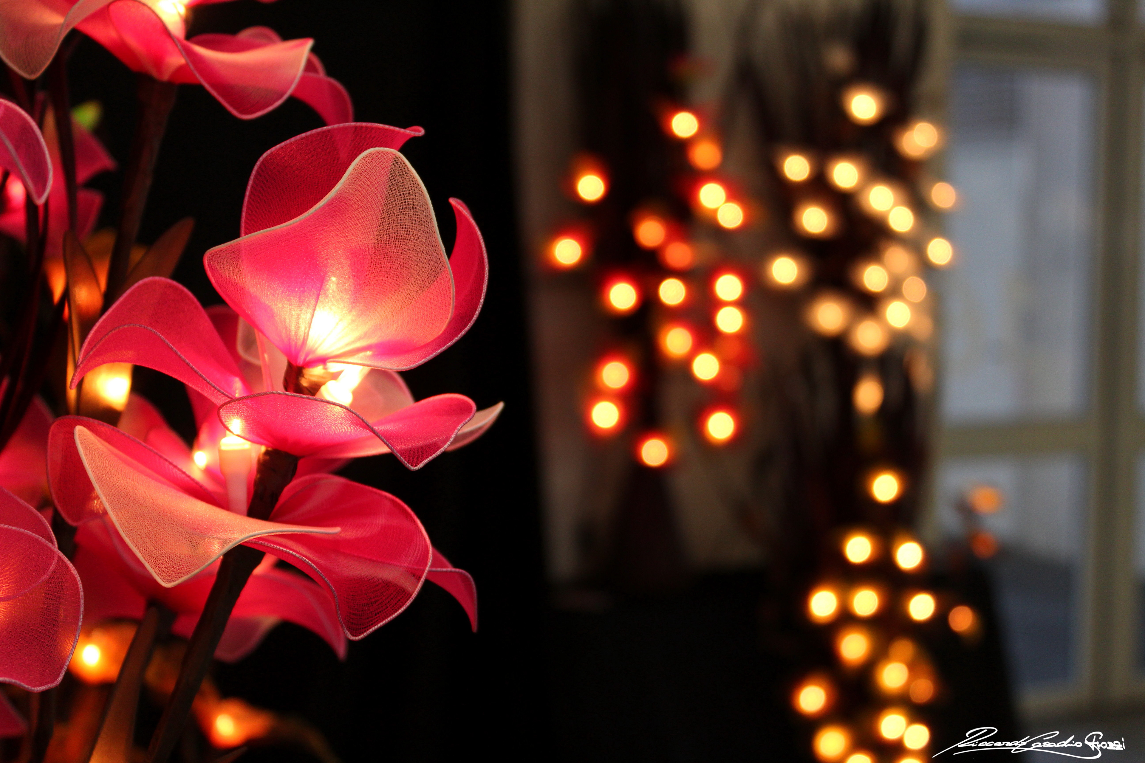 N° 5 - Bologna, Italy