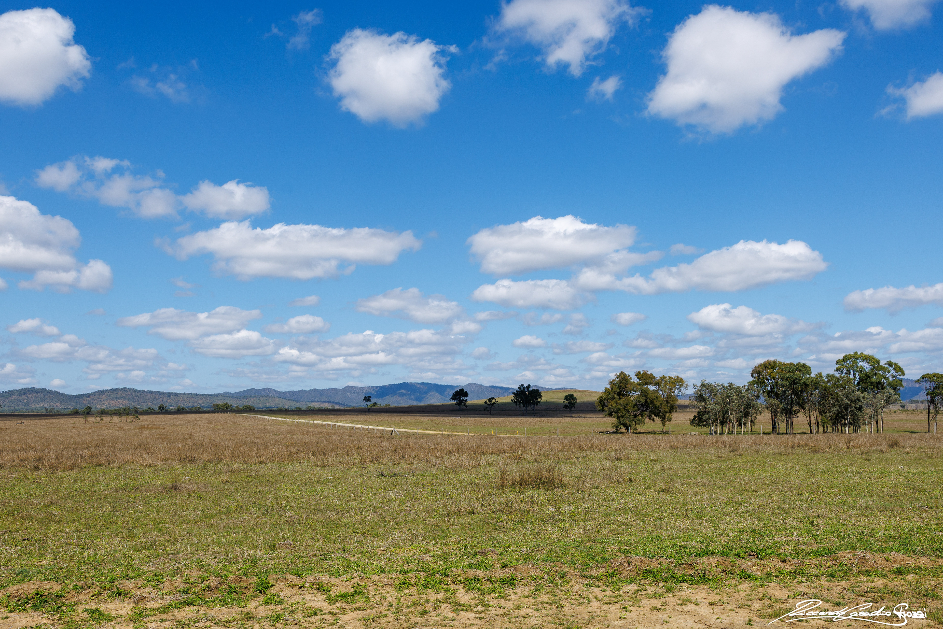 N° 31 - West Coast, Australia