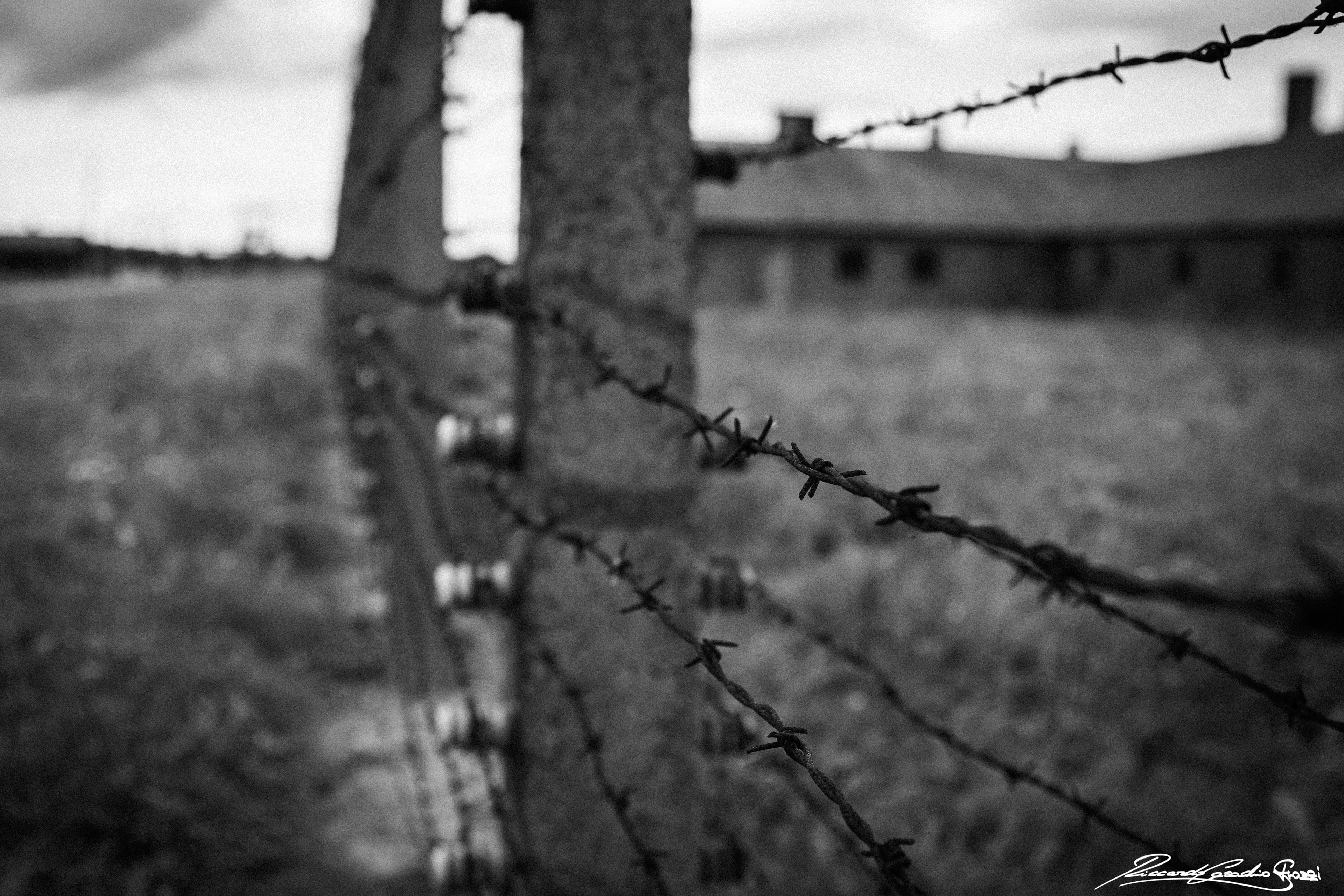 N° 7 - Auschwitz, Poland