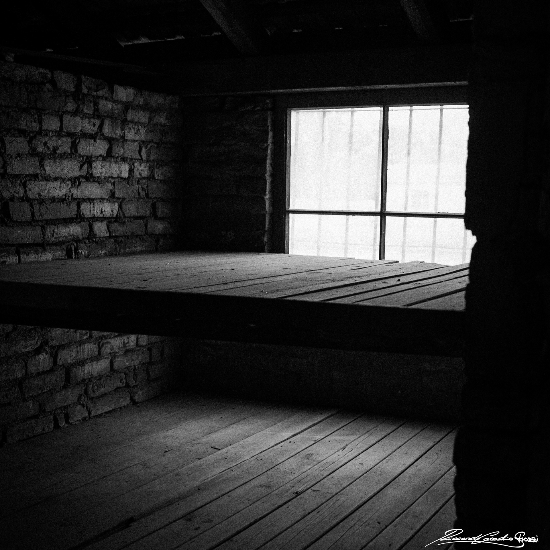 N° 6 - Holocaust Memorial Day