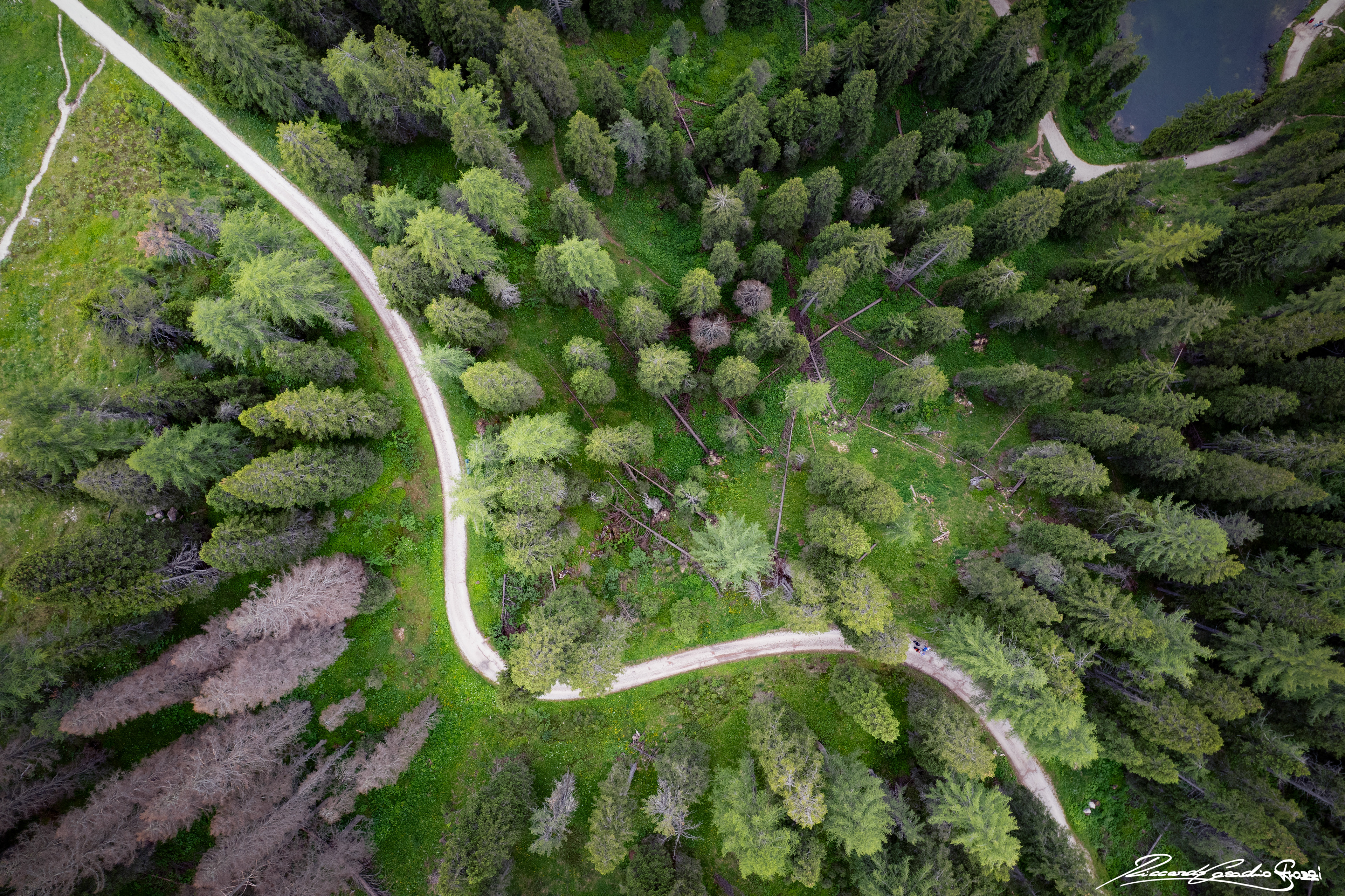 N° 43 - Lago di Carezza, Italy