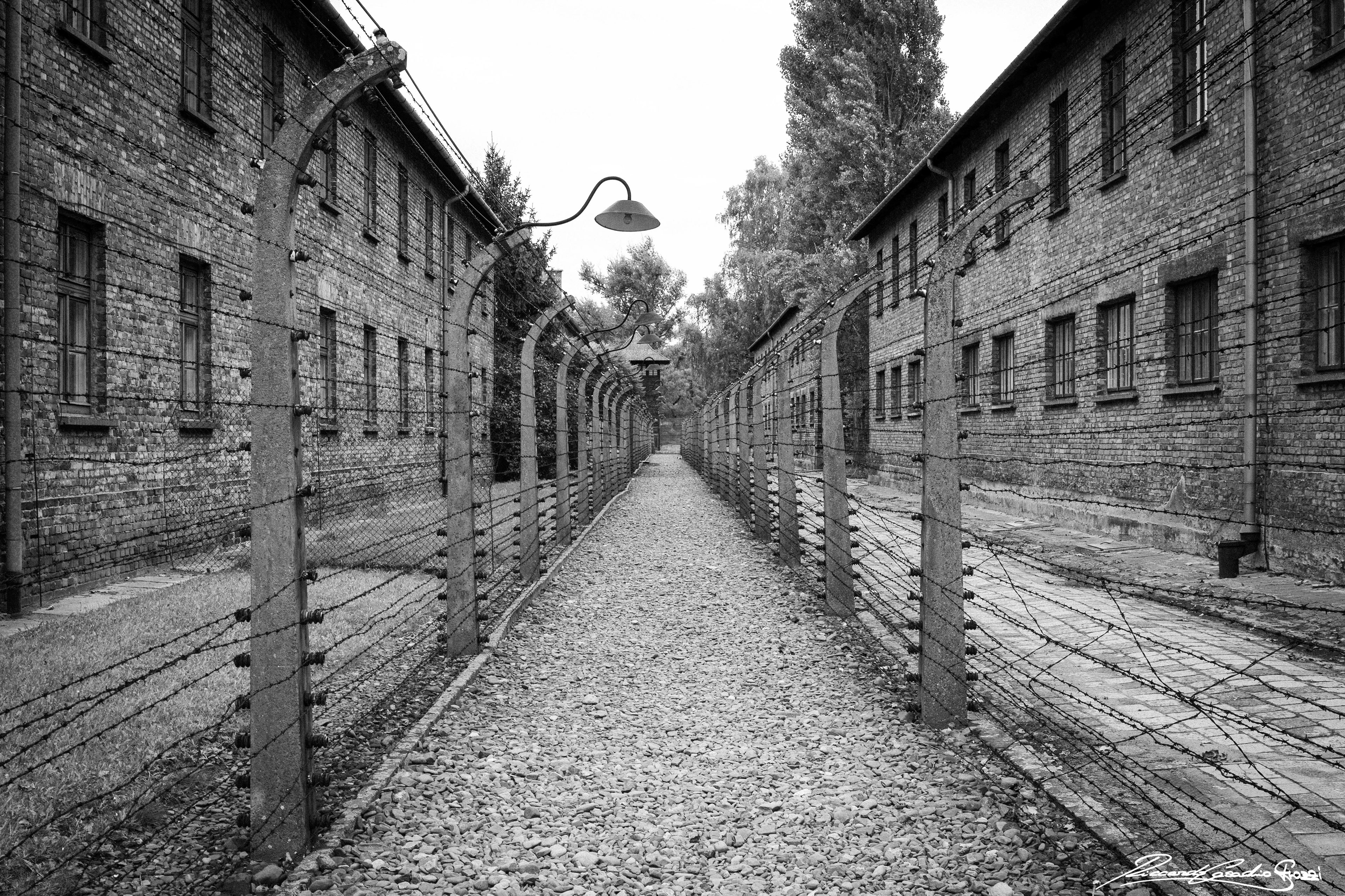 N° 6 - Auschwitz, Poland