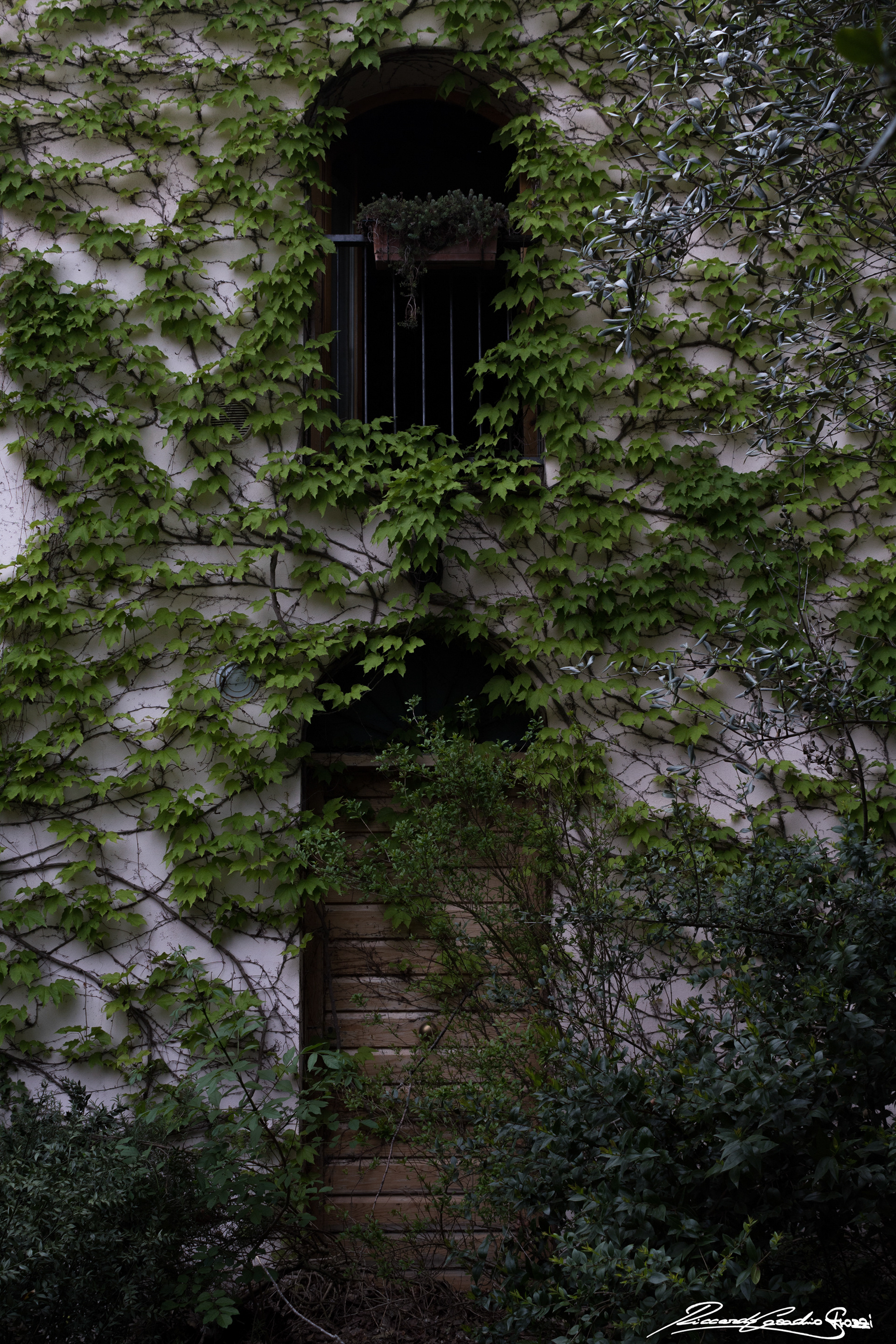 N° 5 - Brisighella, Italy