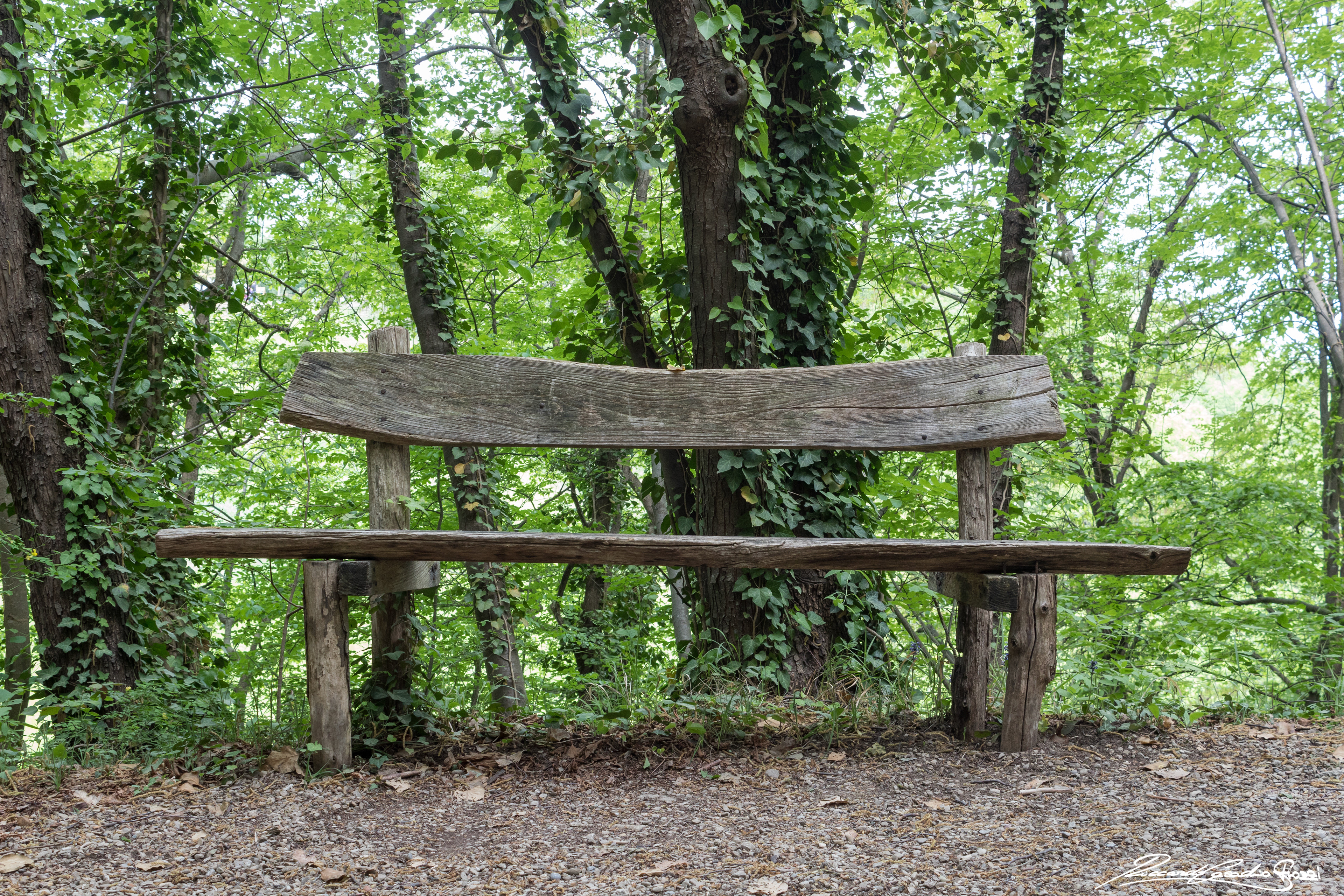 N° 4 - Brisighella, Italy