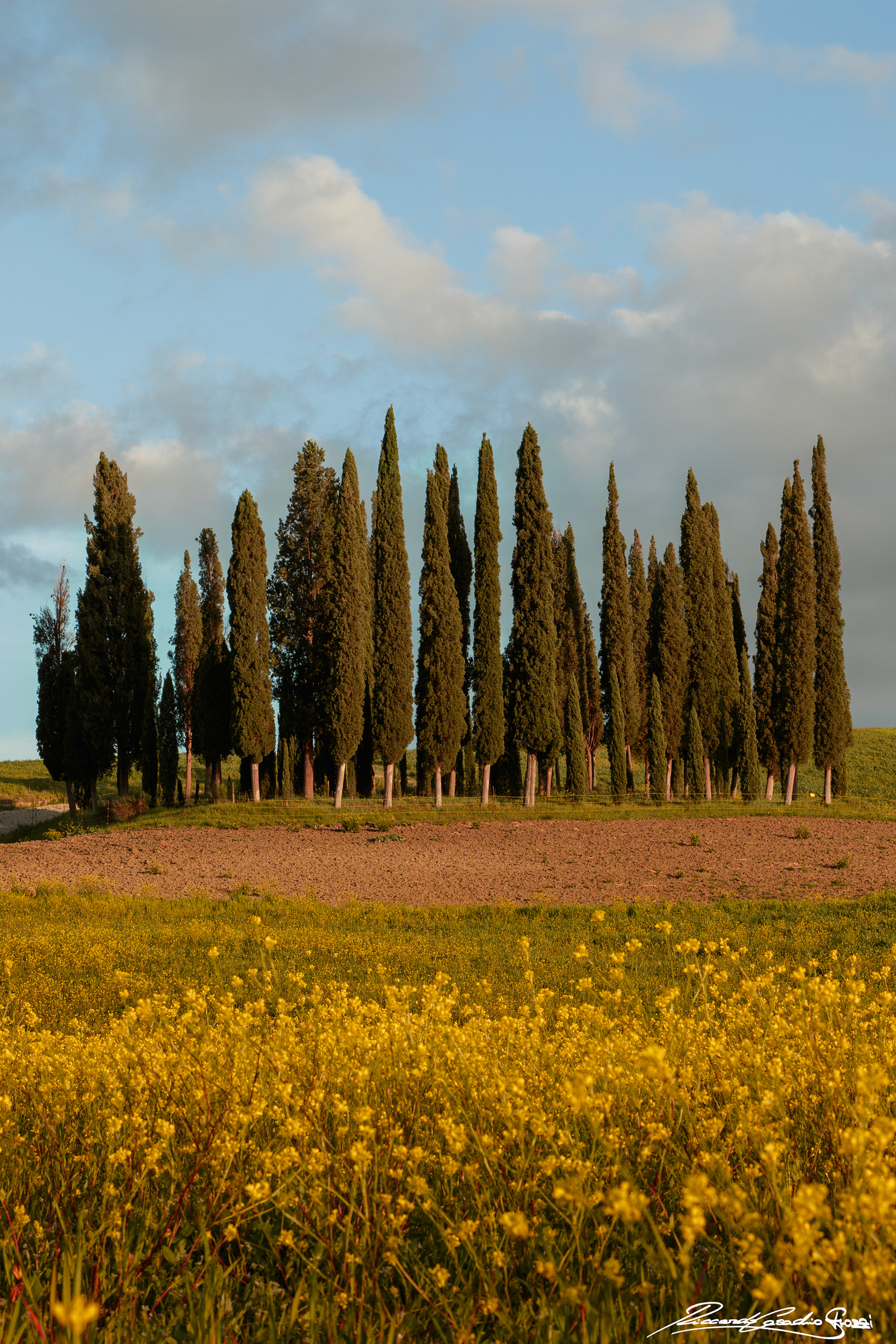 N° 4 - Val d'Orcia, Italy