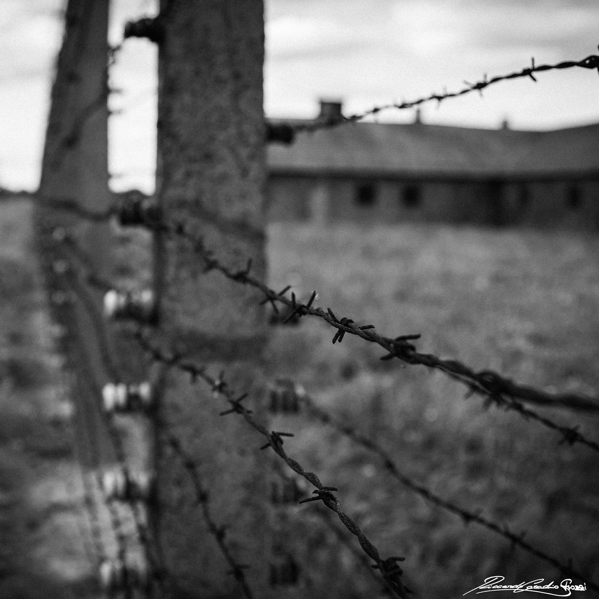 N° 1 - Holocaust Memorial Day