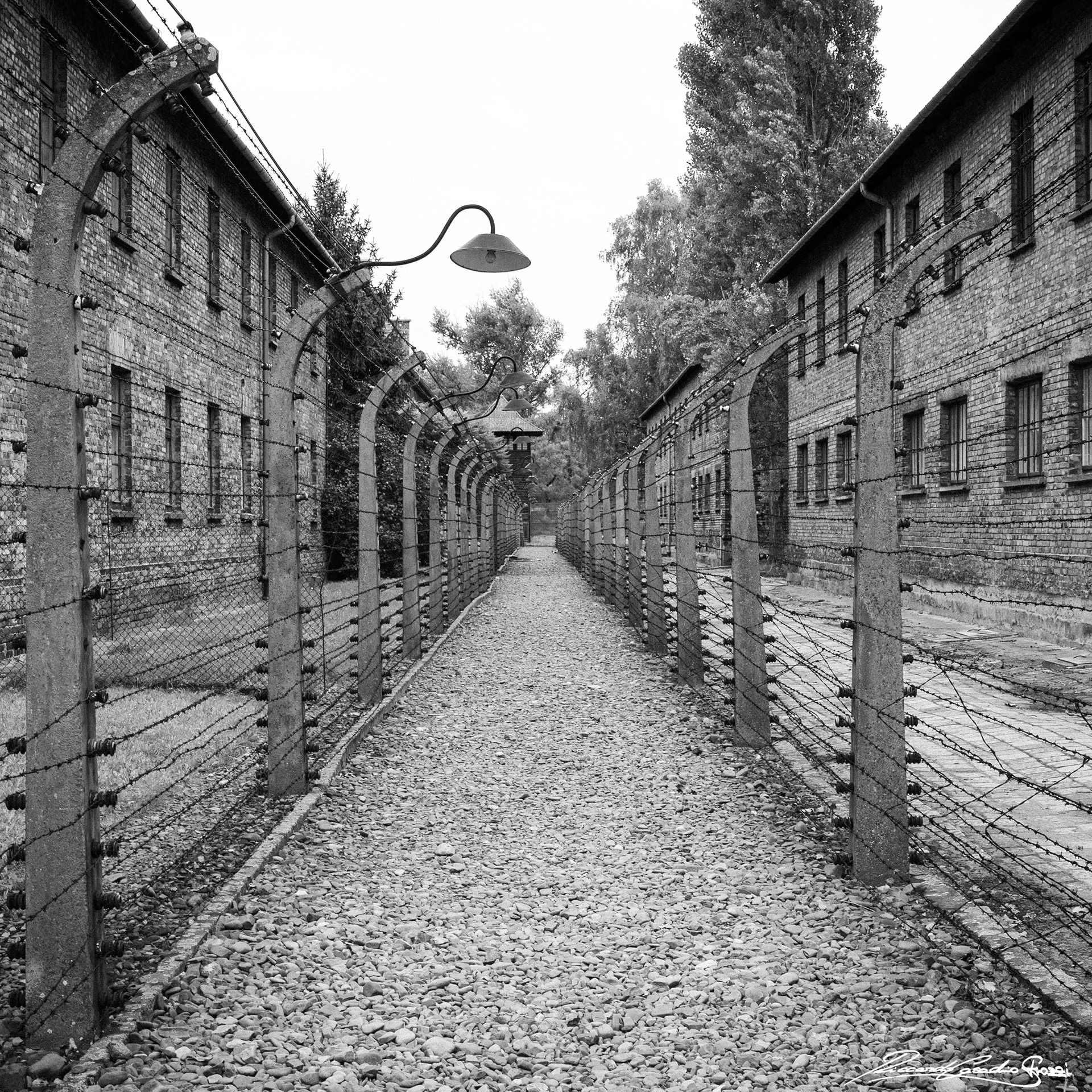 N° 2 - Holocaust Memorial Day