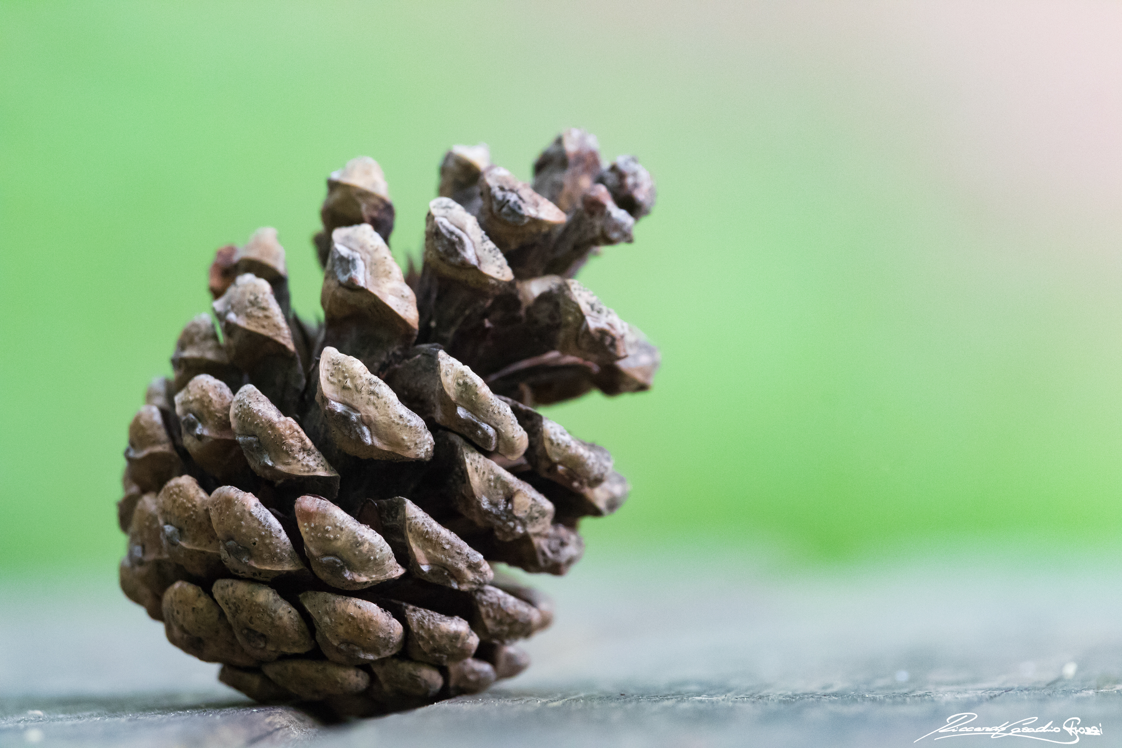 N° 9 - Brisighella, Italy