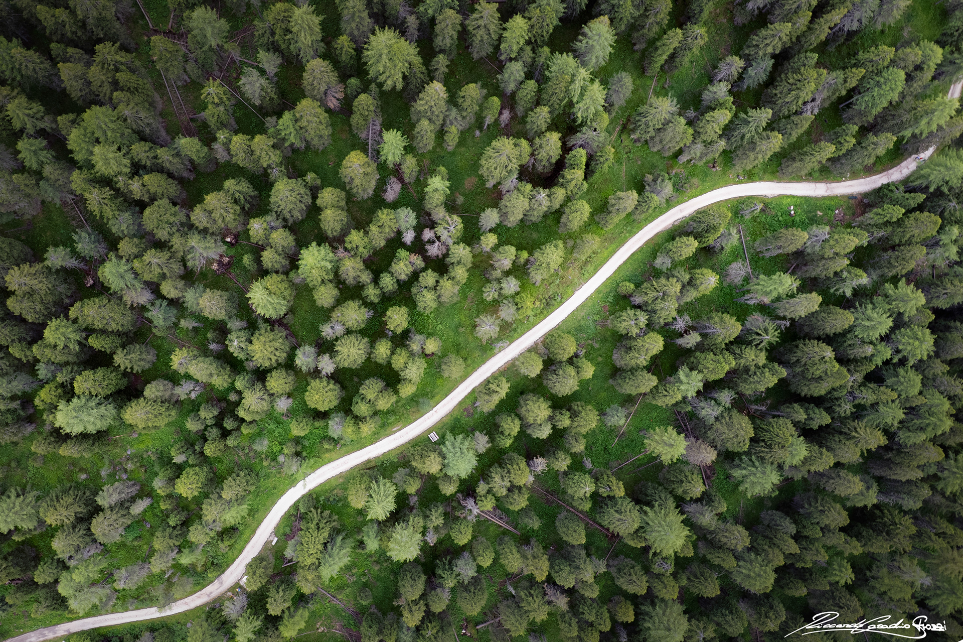 N° 41 - Lago di Carezza, Italy
