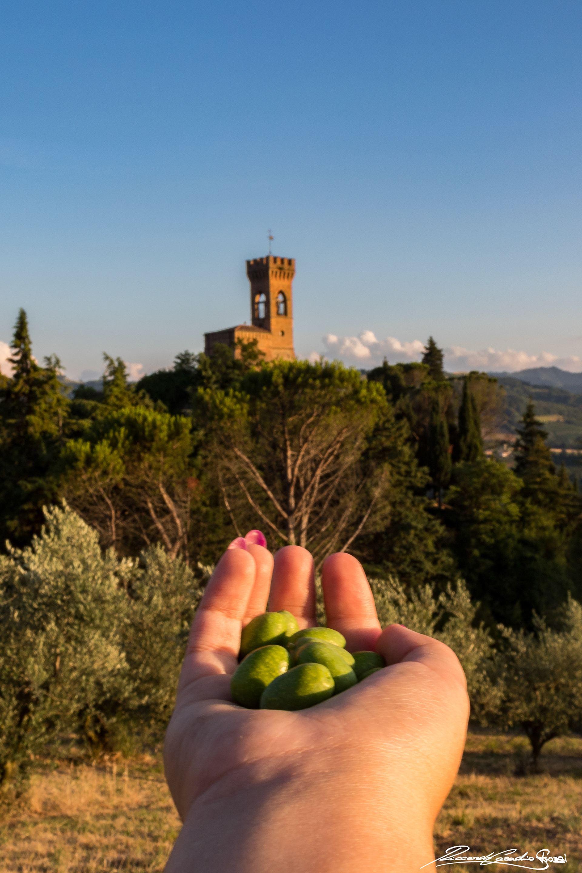 N° 9 - Brisighella, Italy
