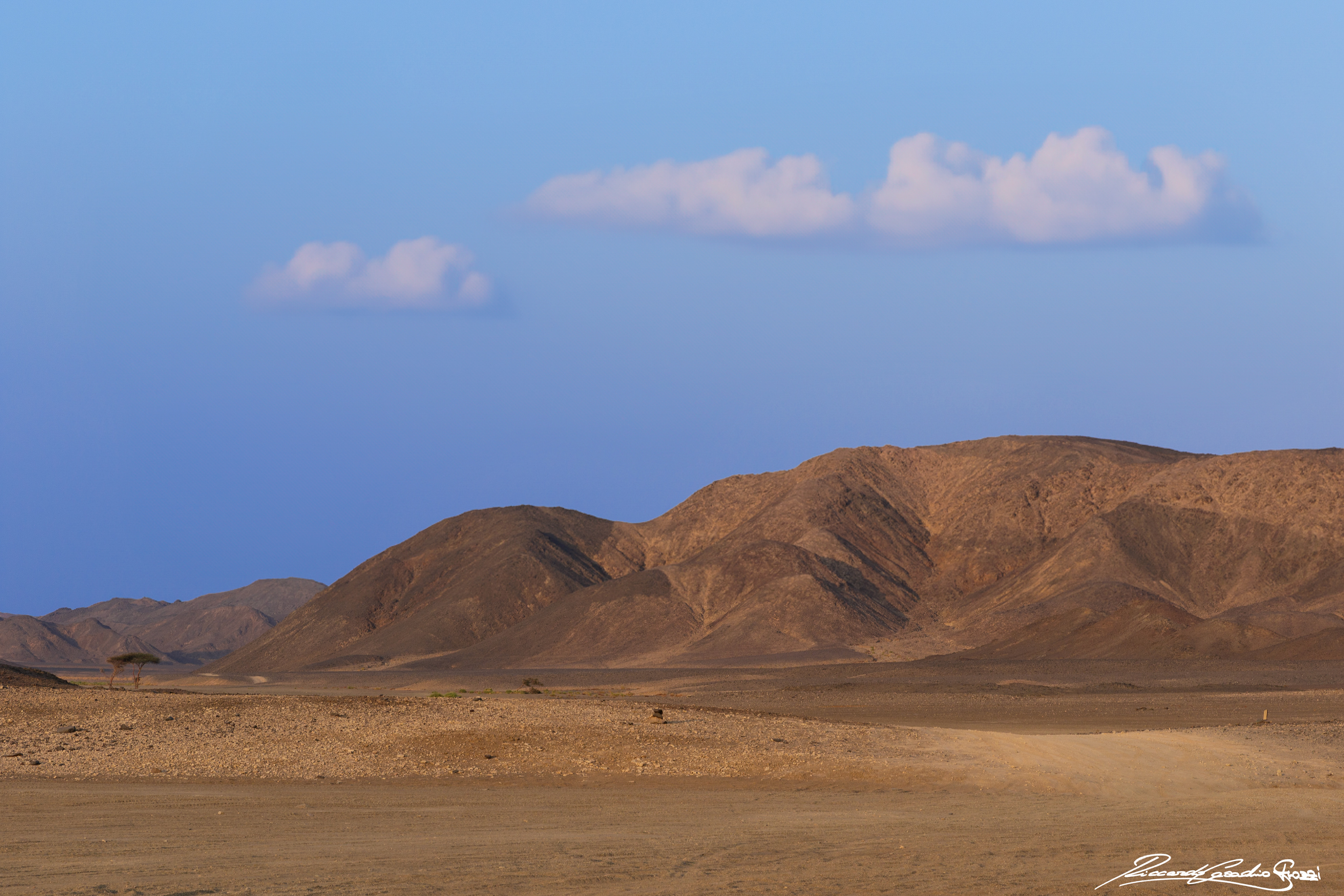 N° 7 - Marsa Alam, Egypt