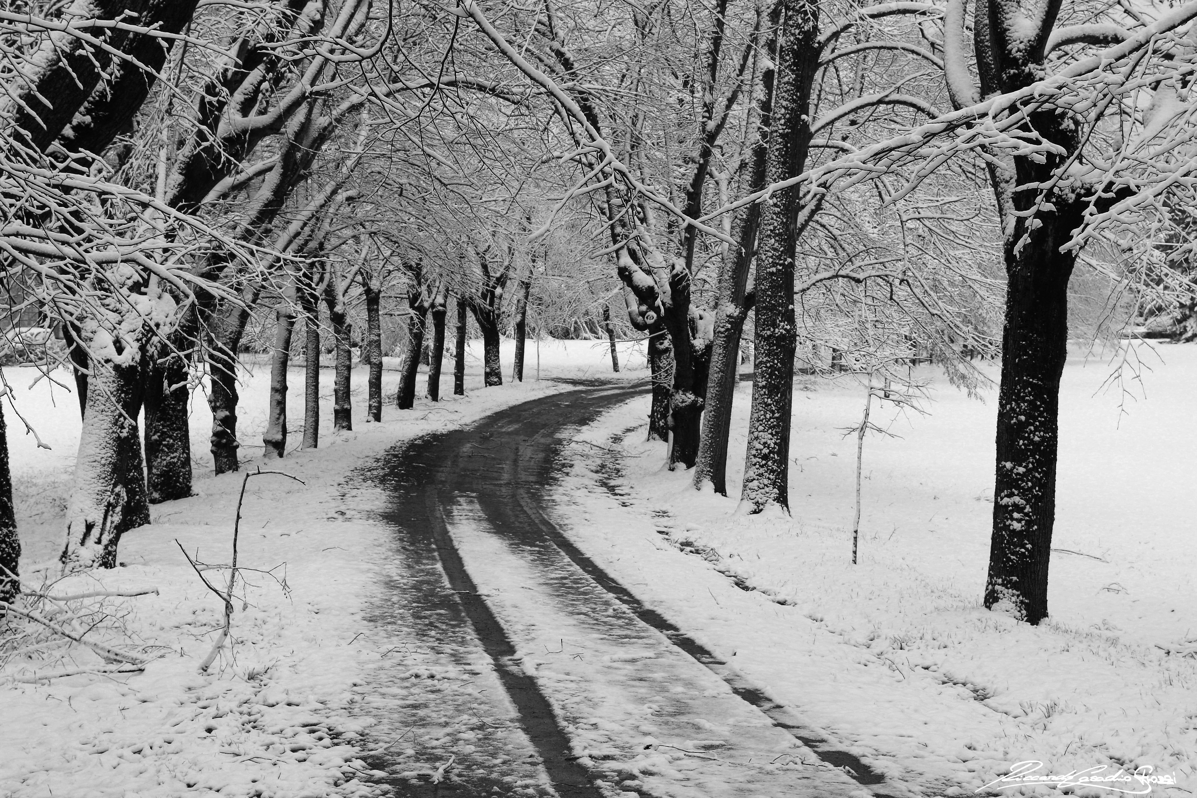 N° 9 - Brisighella, Italy