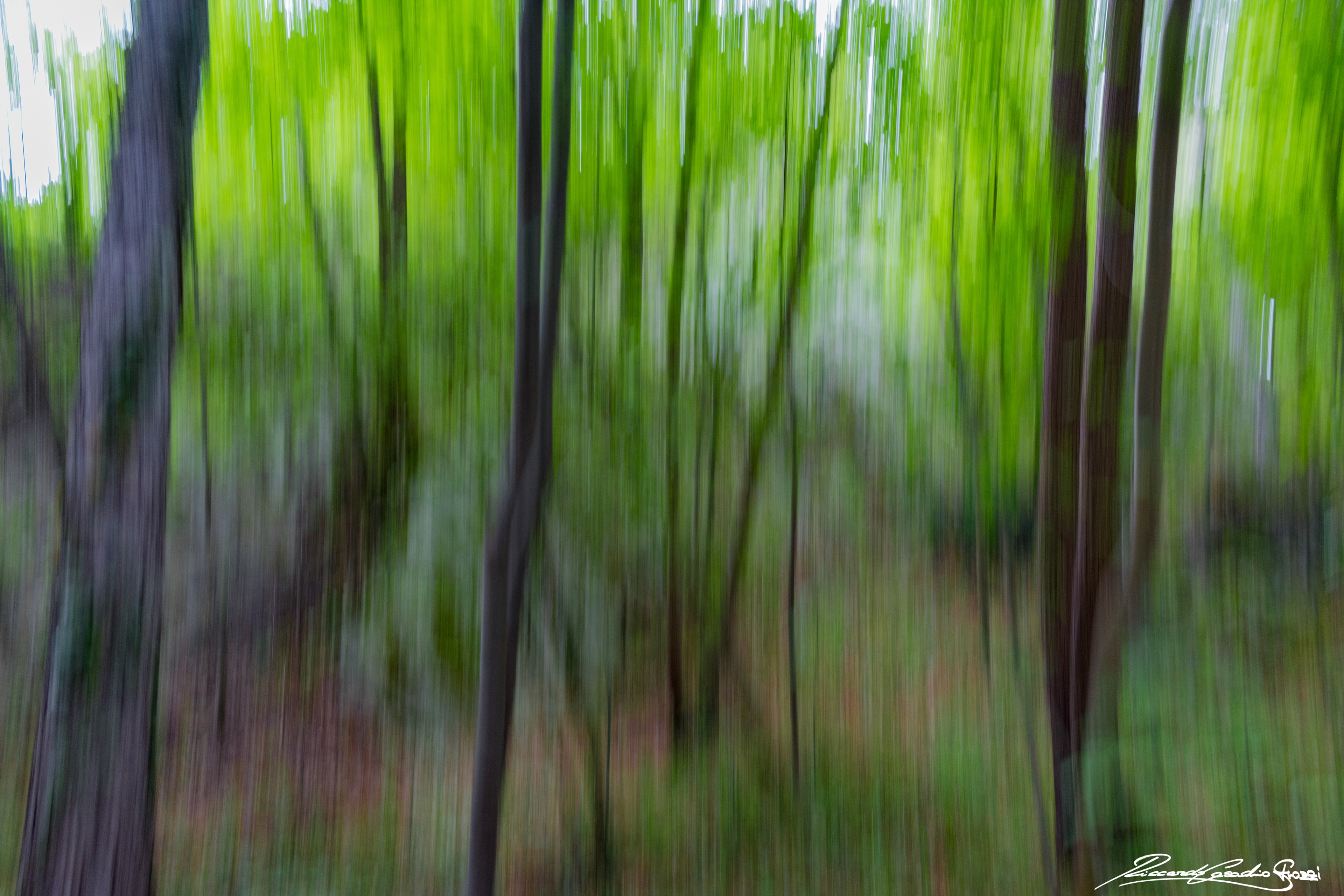 N° 6 - Brisighella, Italy