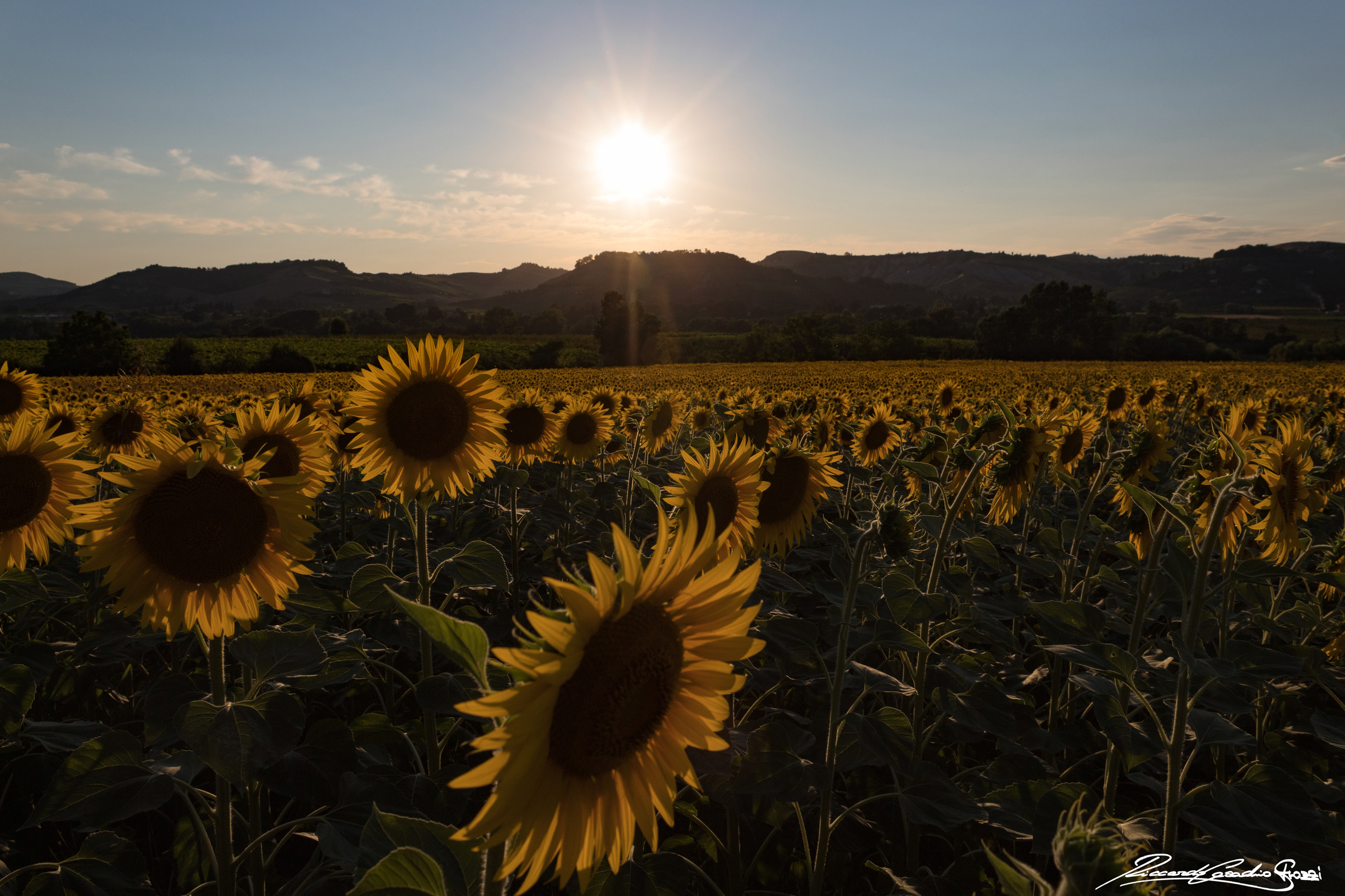 N° 12 - Brisighella, Italy