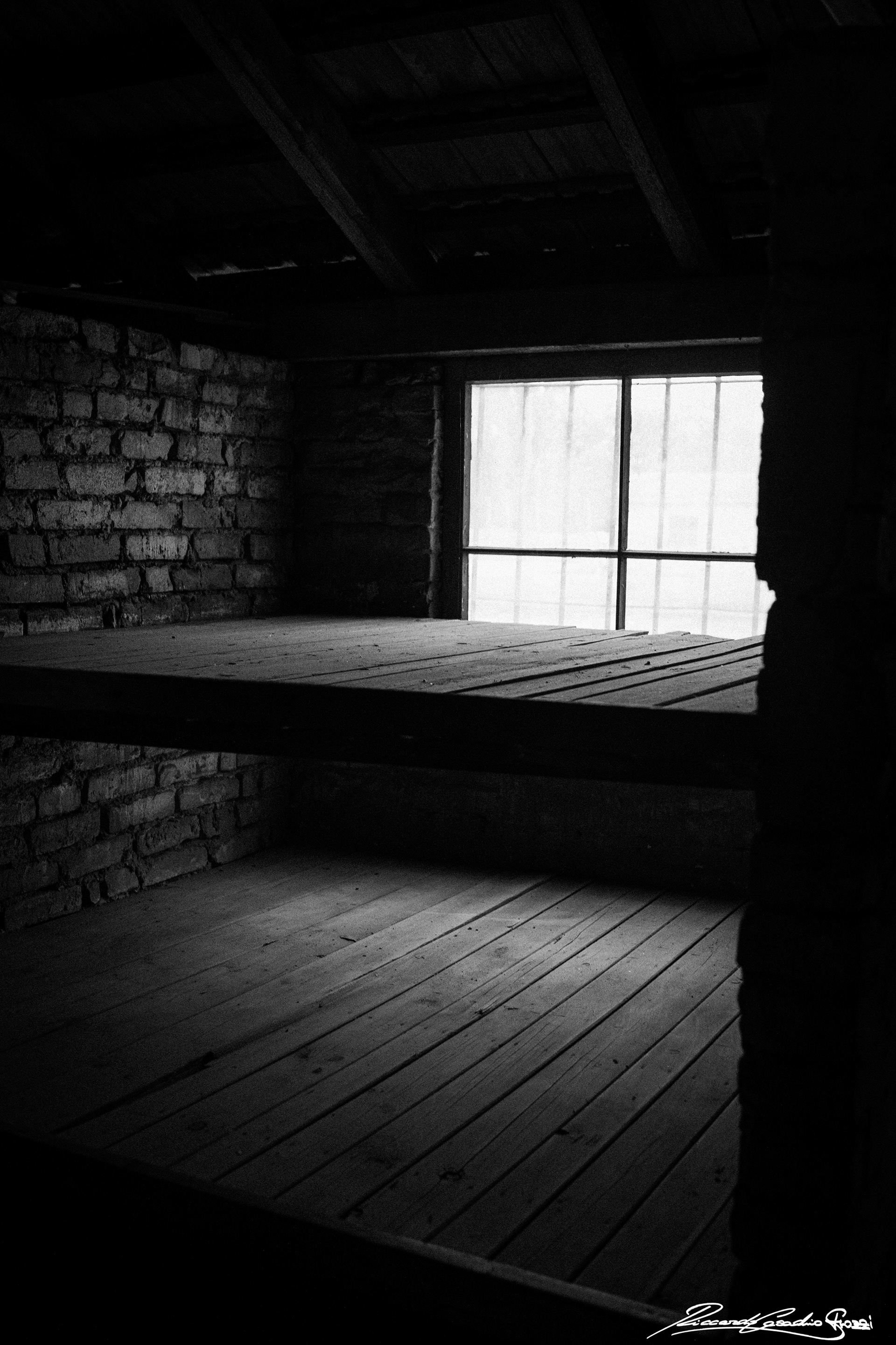 N° 8 - Auschwitz, Poland