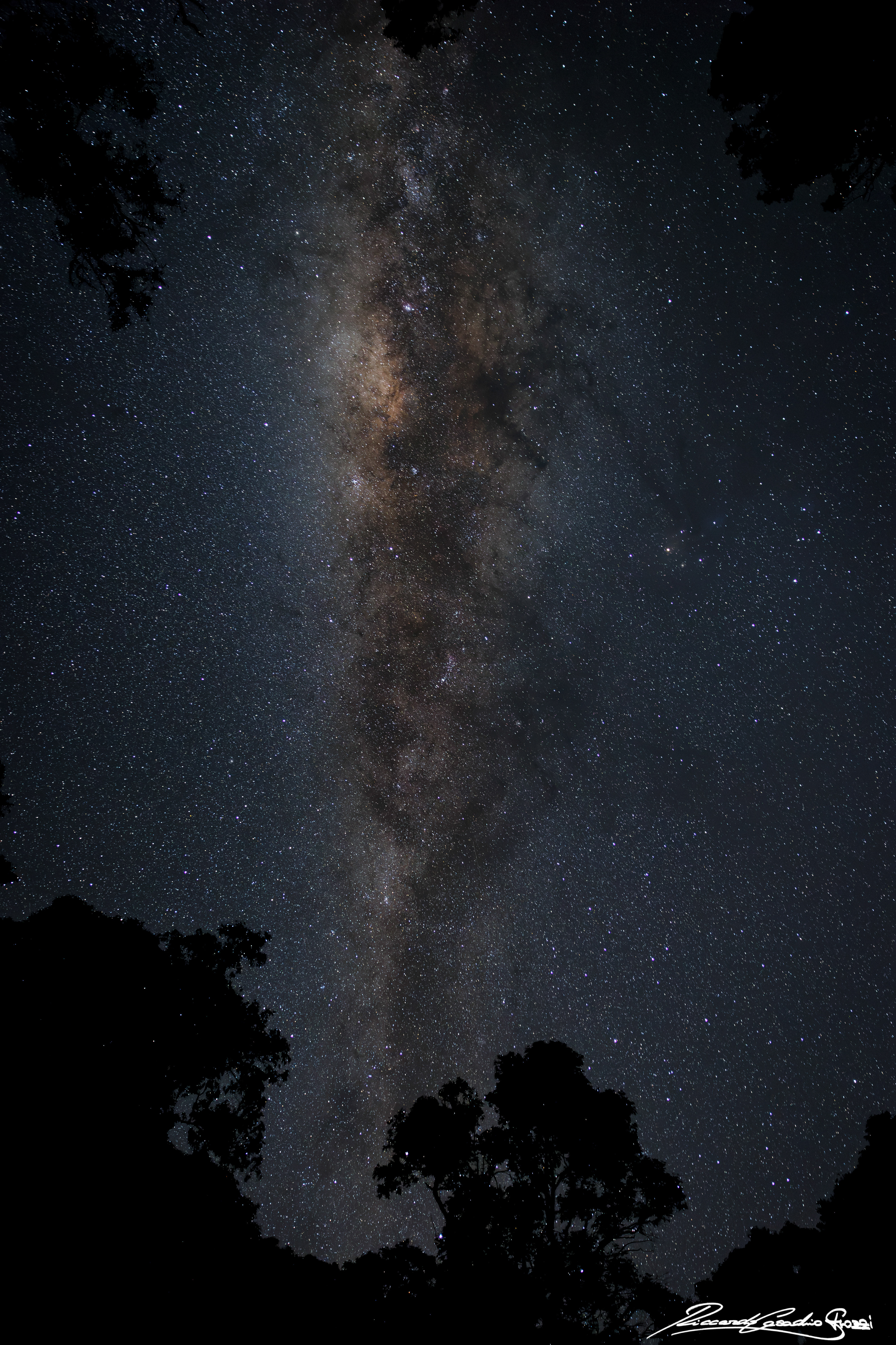 Nr. 11 - Somewhere, Australia