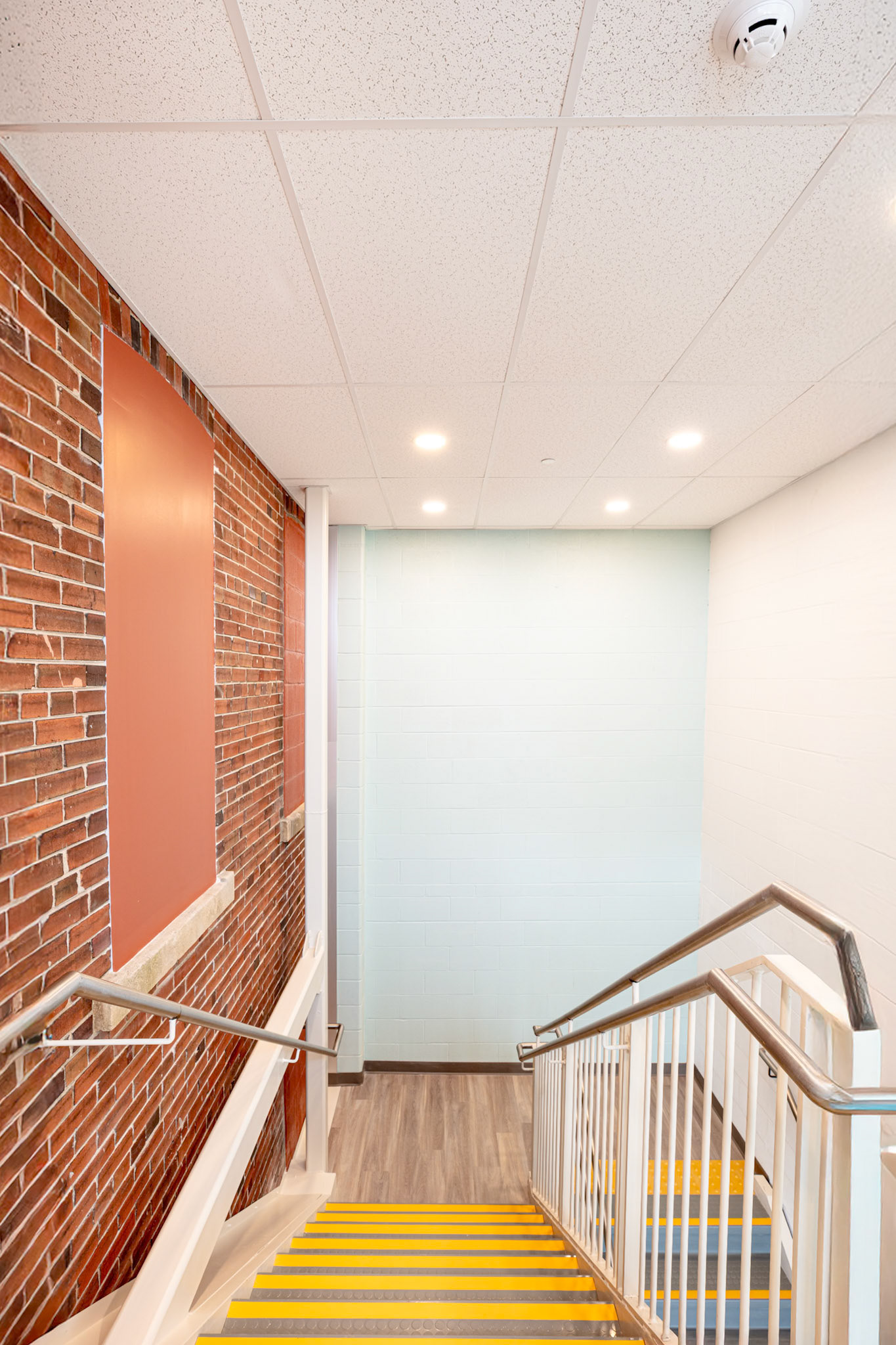 Guelph Transitional 51