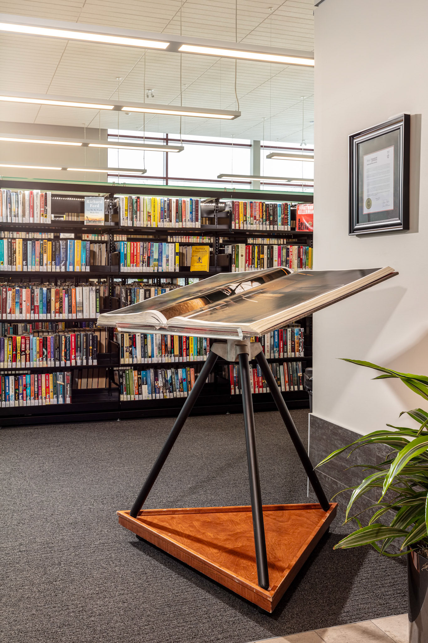 Hillsburgh Public Library 35