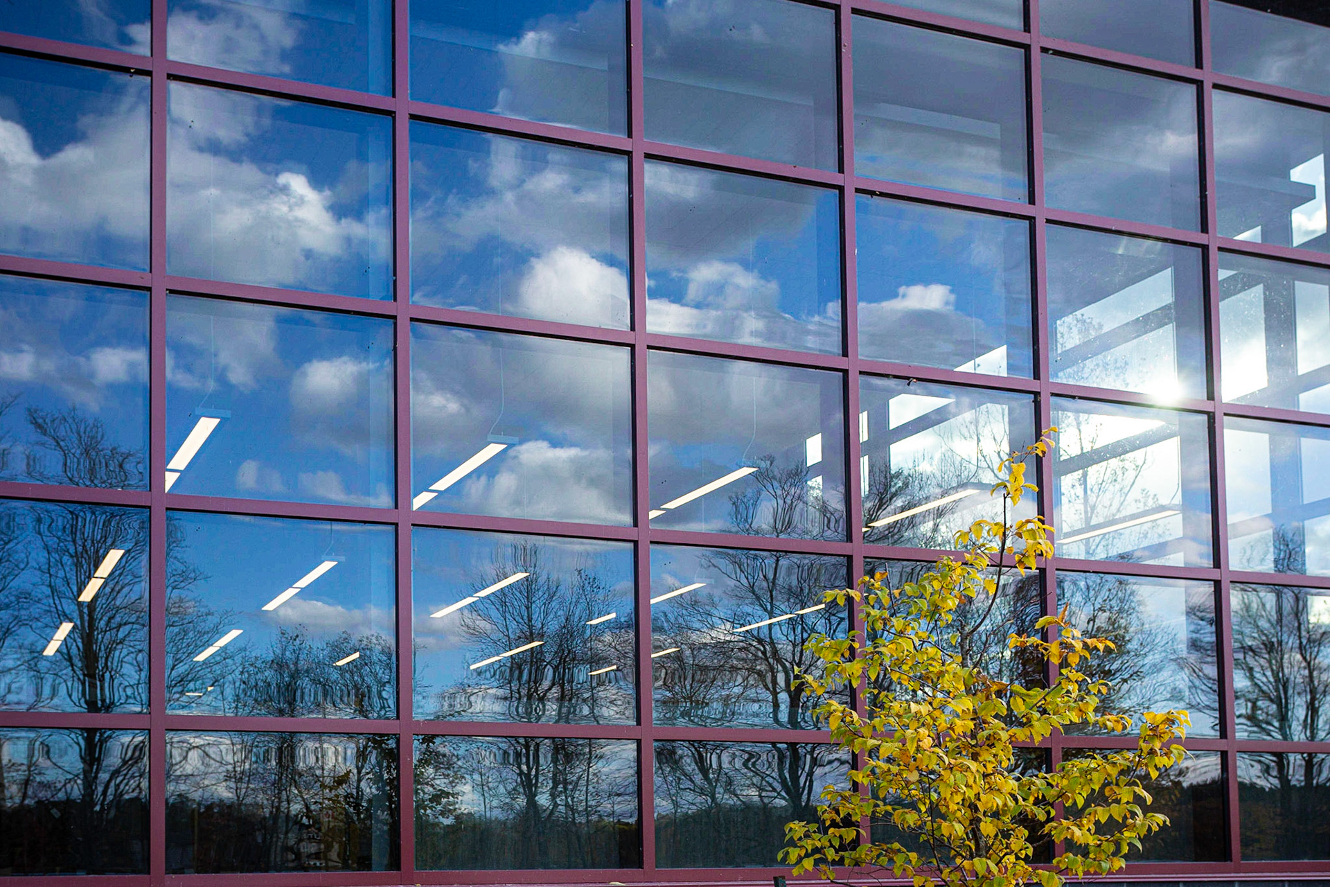 Hillsburgh Public Library 13