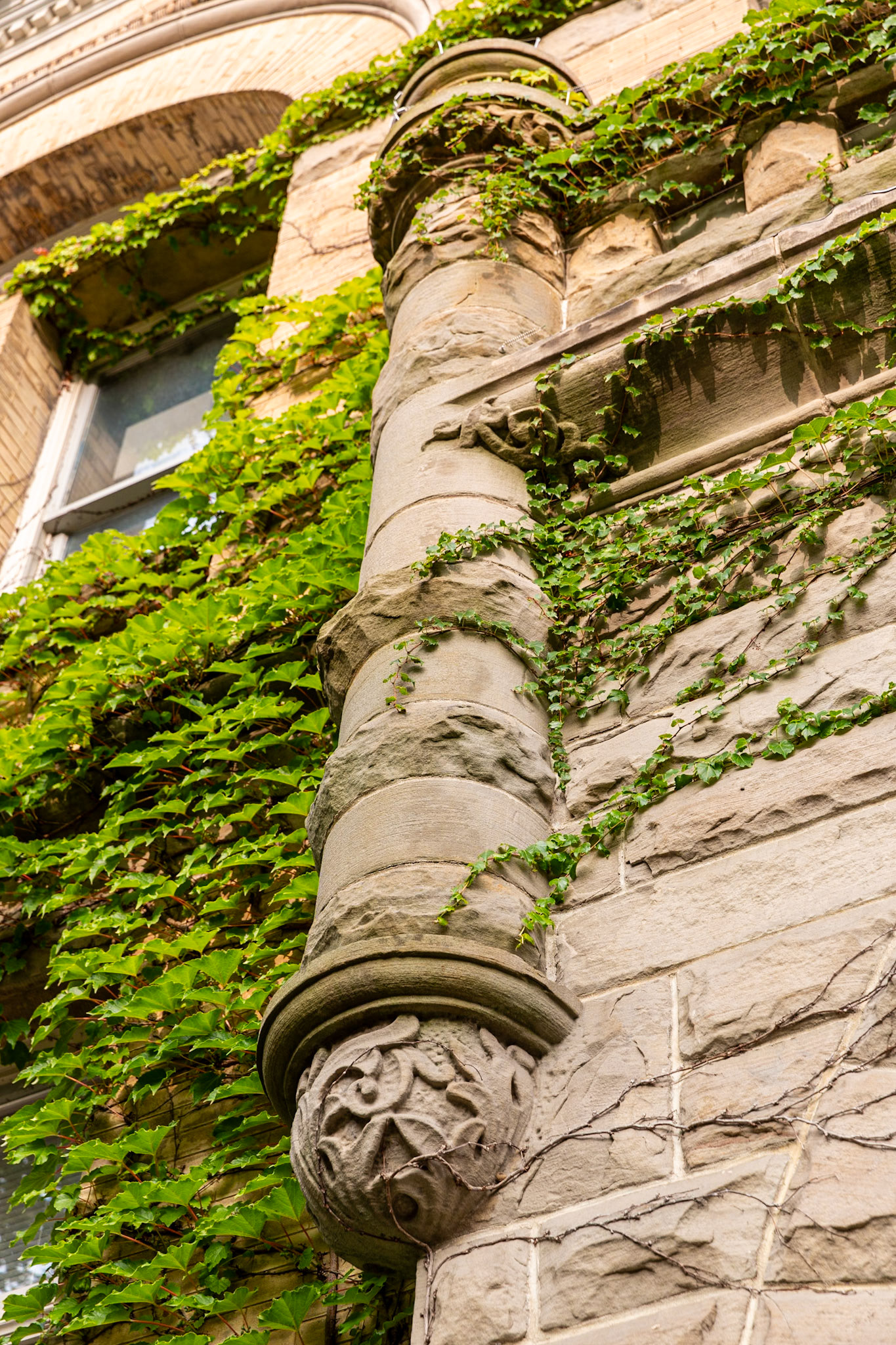 St. Thomas City Hall 24