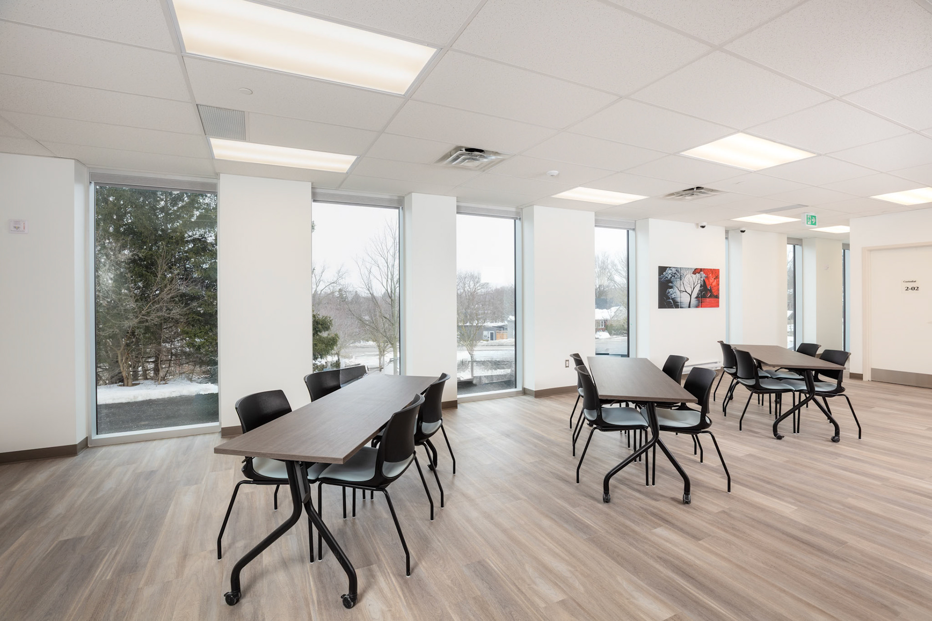 Guelph Transitional 24
