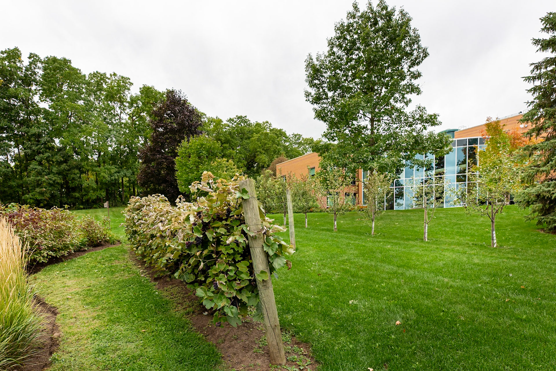 Halton Hills Admin Centre 31
