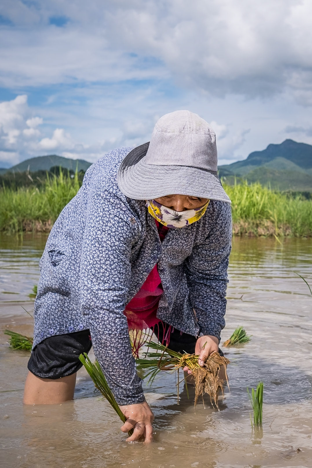 Photo by @paulineduclos