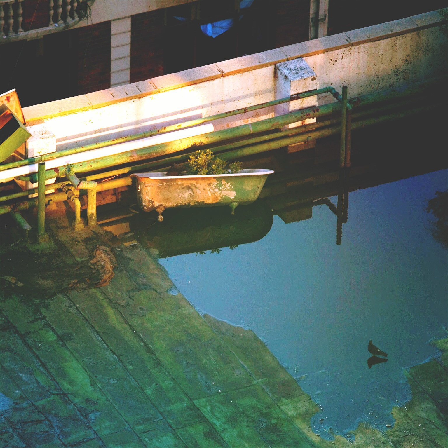 What about green? III