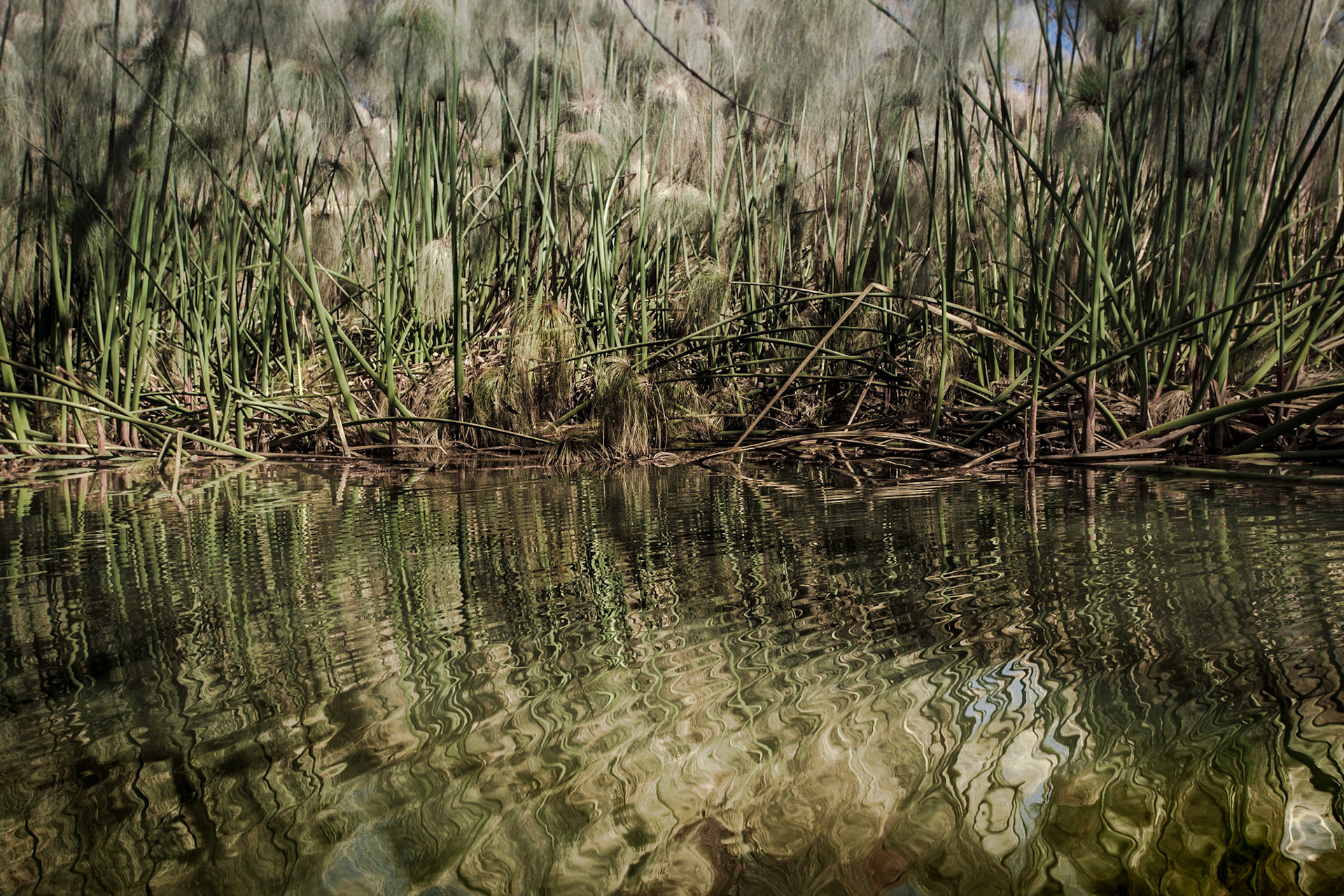 Is it still an Instameet... If you don't meet anyone?