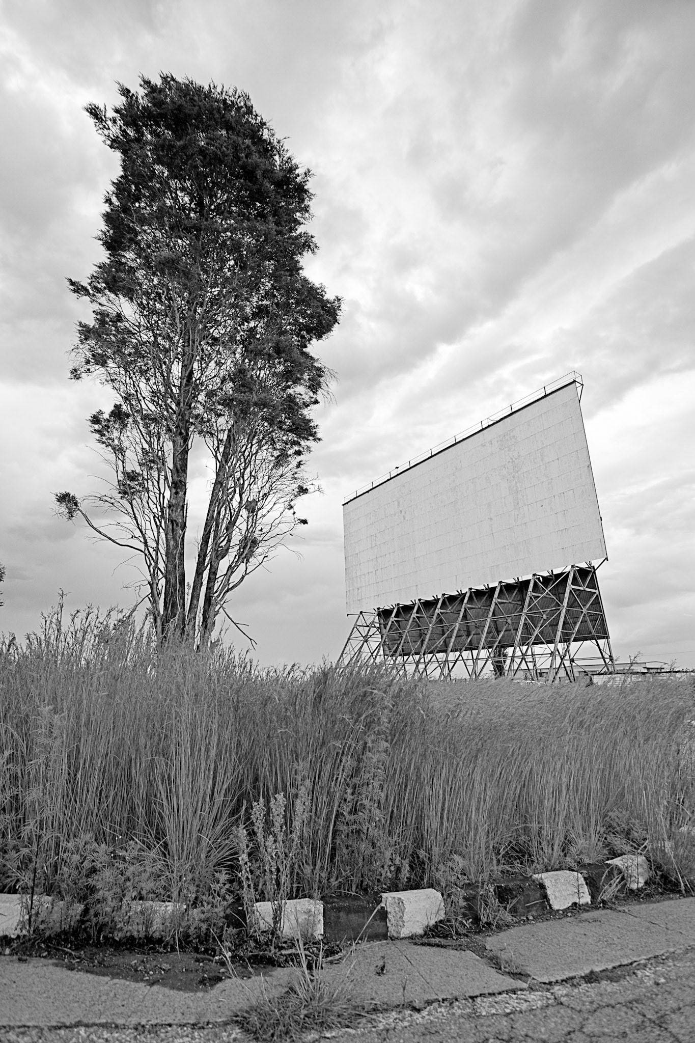 Stalking-(Top-Star-Drive-in)