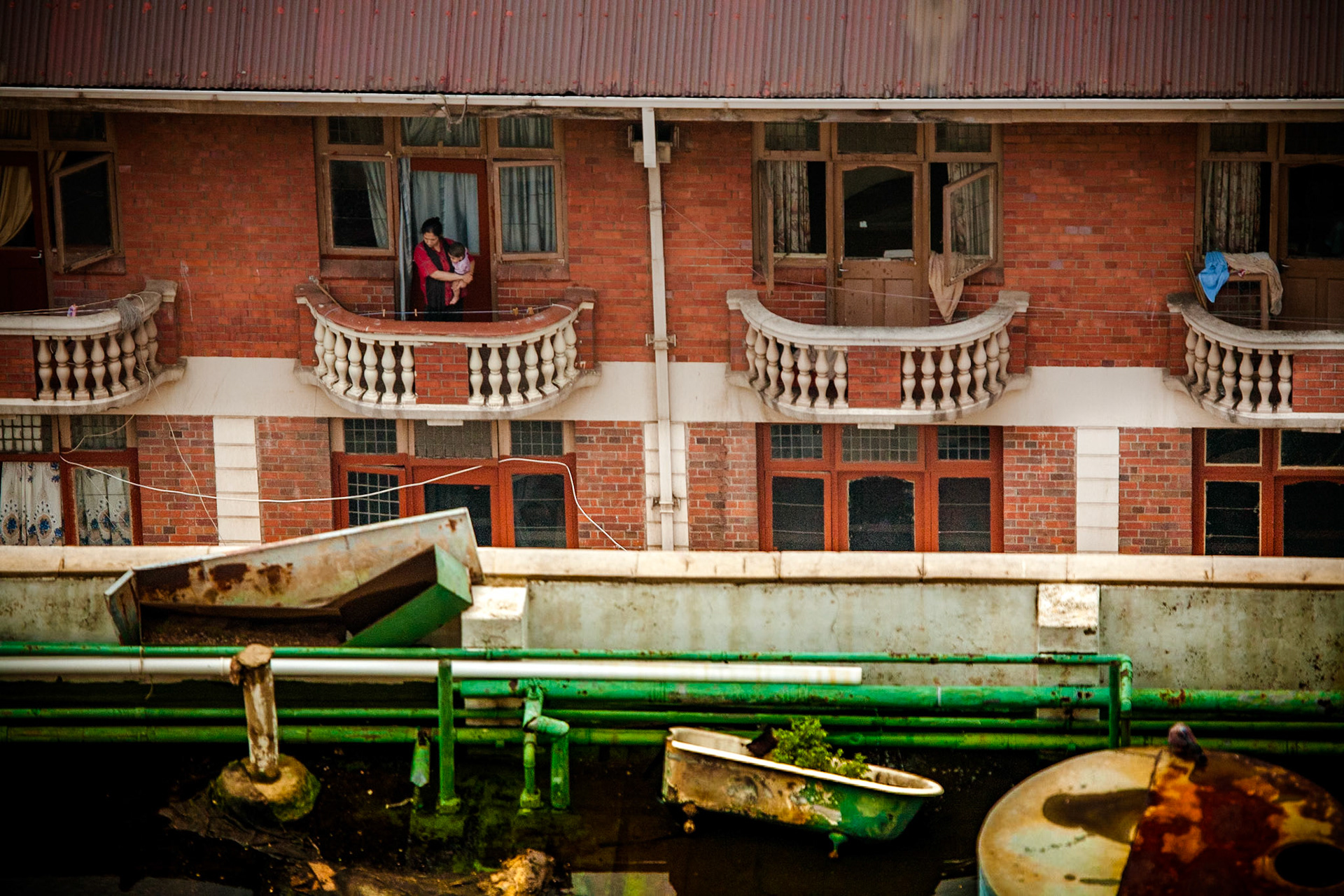 If-that-mockingbird-won't-sing