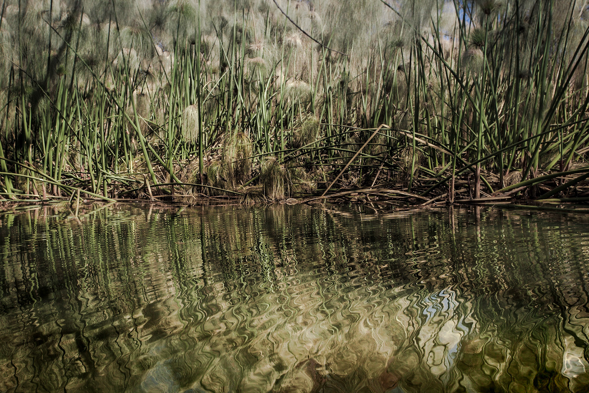 Is it still an Instameet... If you don't meet anyone?