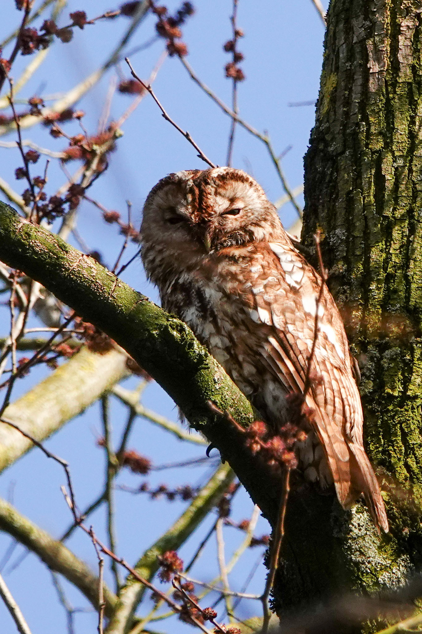 Moeder zit op afstand te monitoren