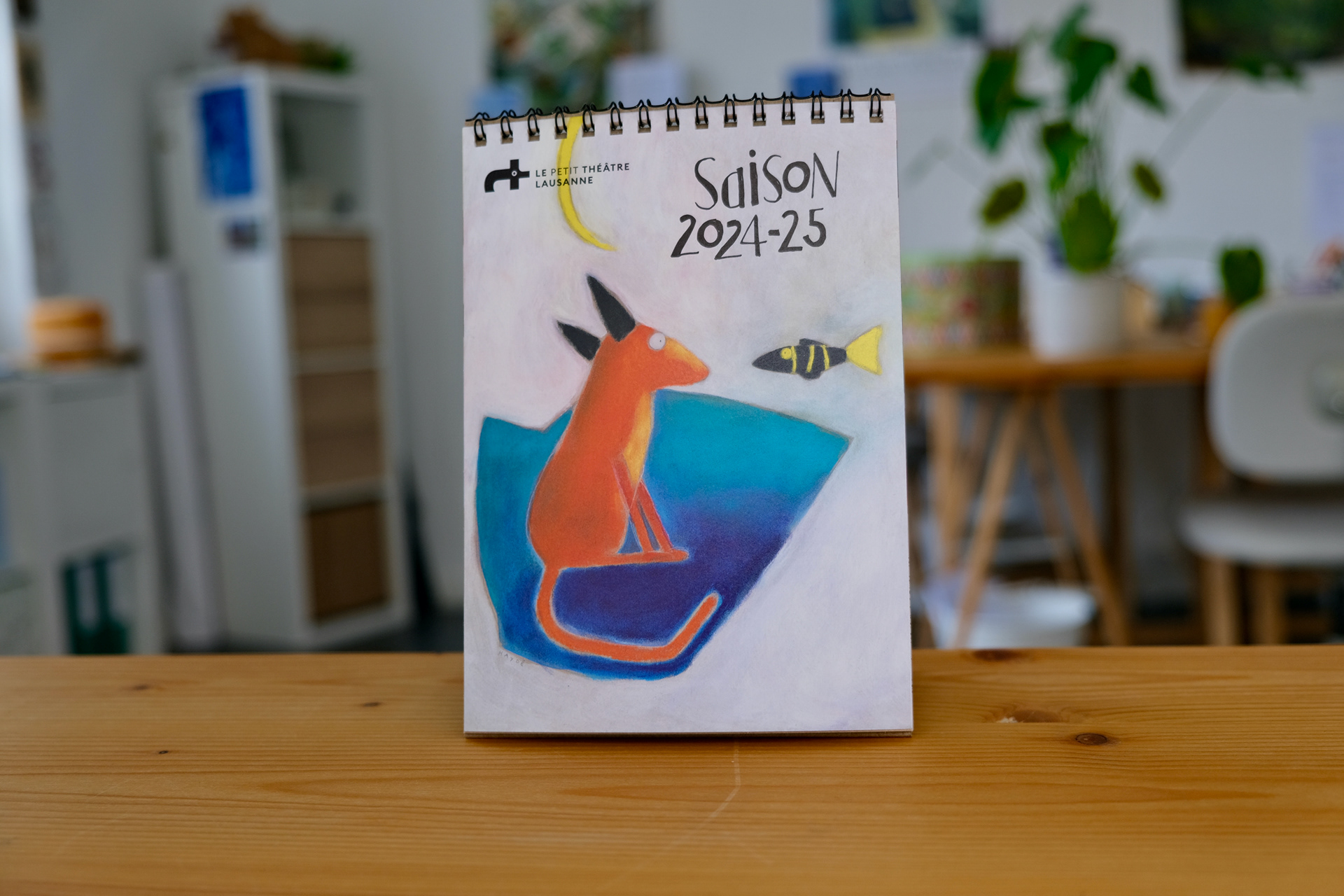 Programme de saison 24-25 illustré par Haydé