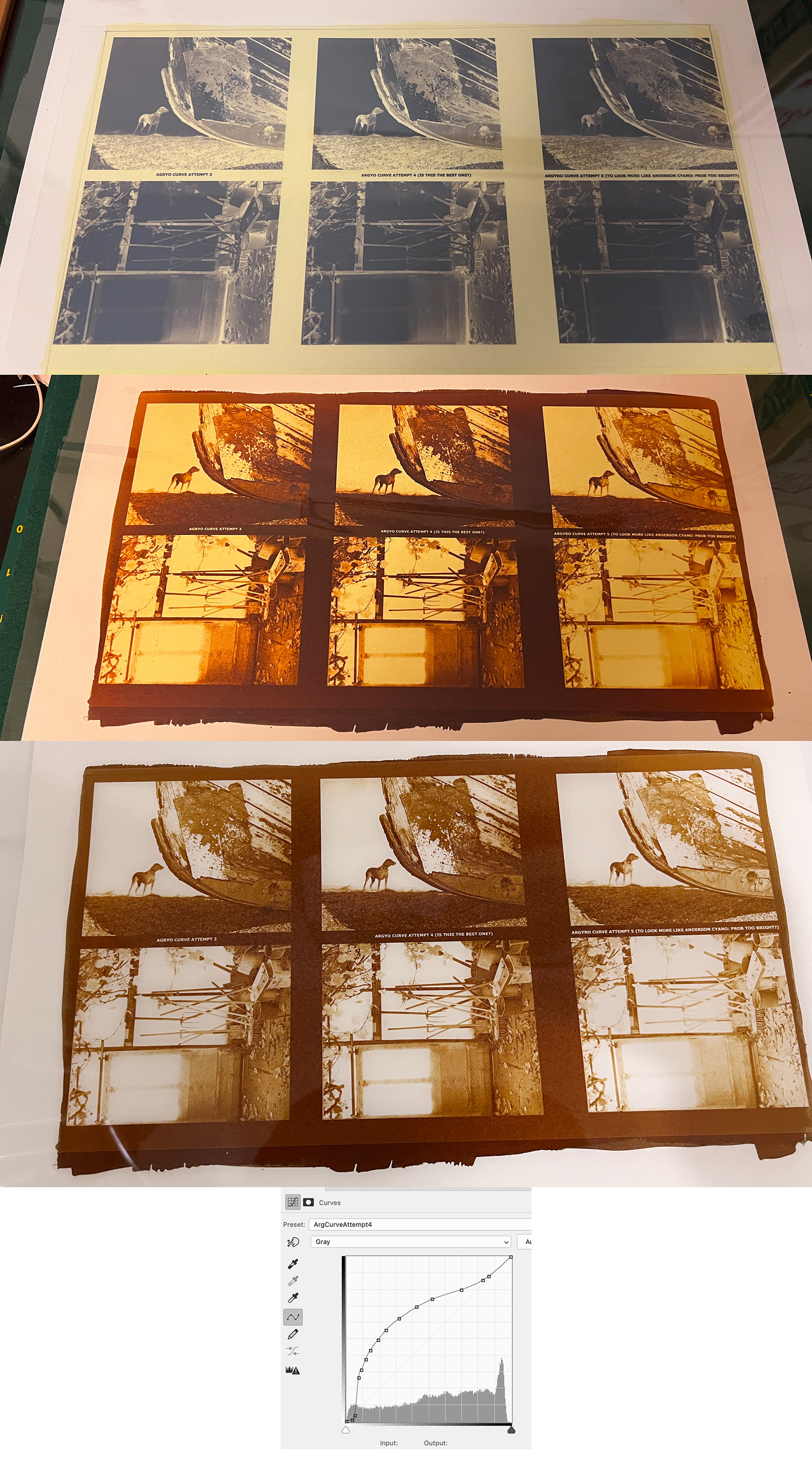 Argyrotype Test Prints with different curves, and chosen curve