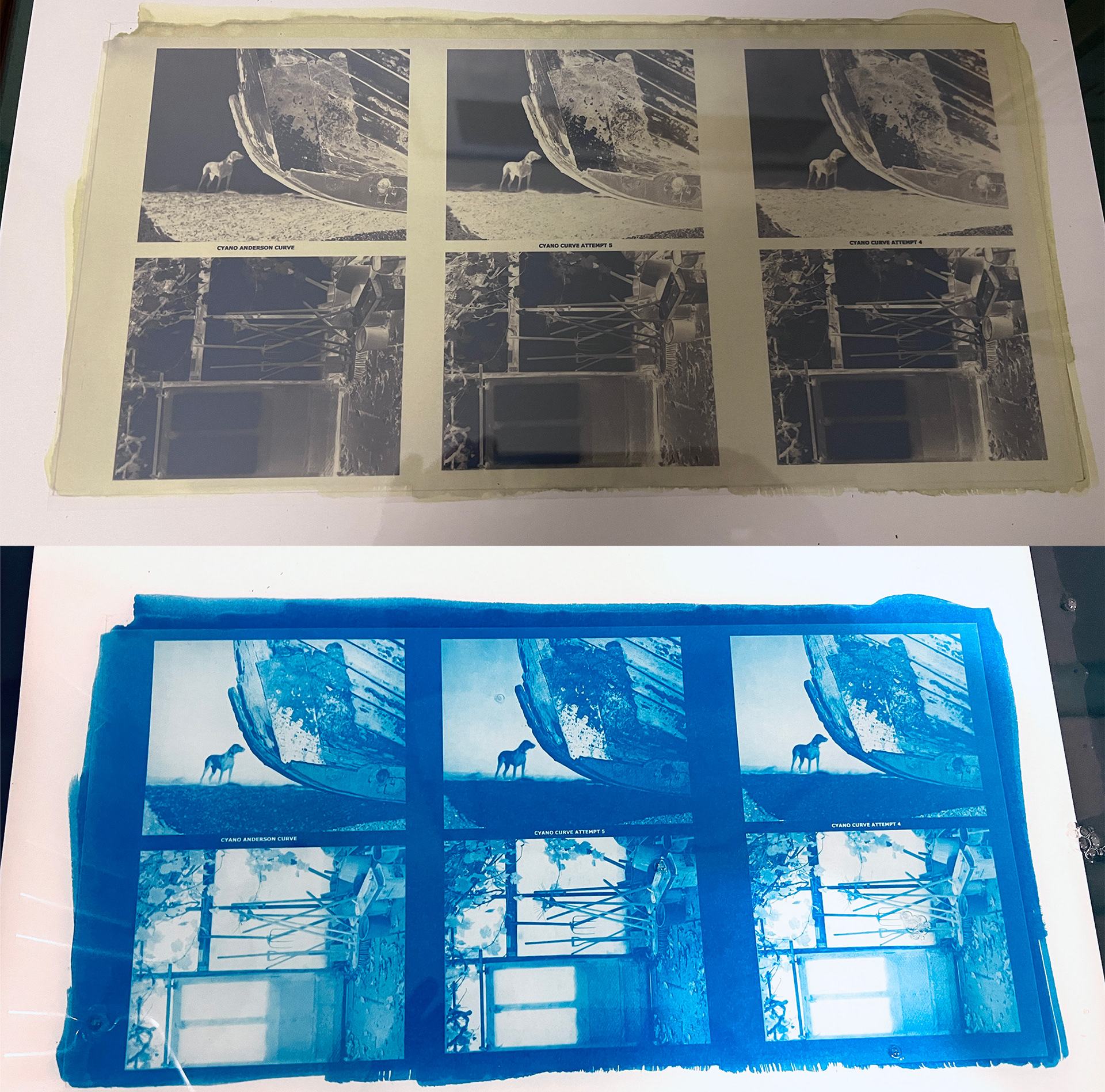 Cyanotype Test Prints with different curves