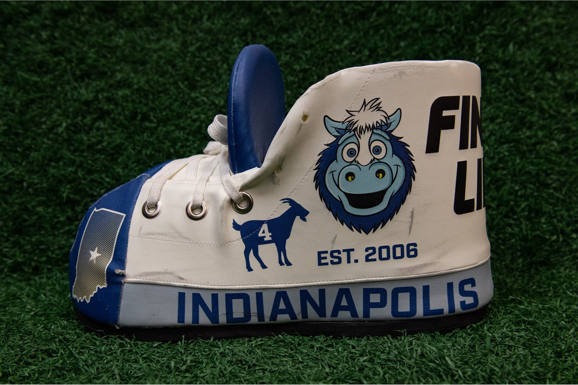Custom mascot shoe design